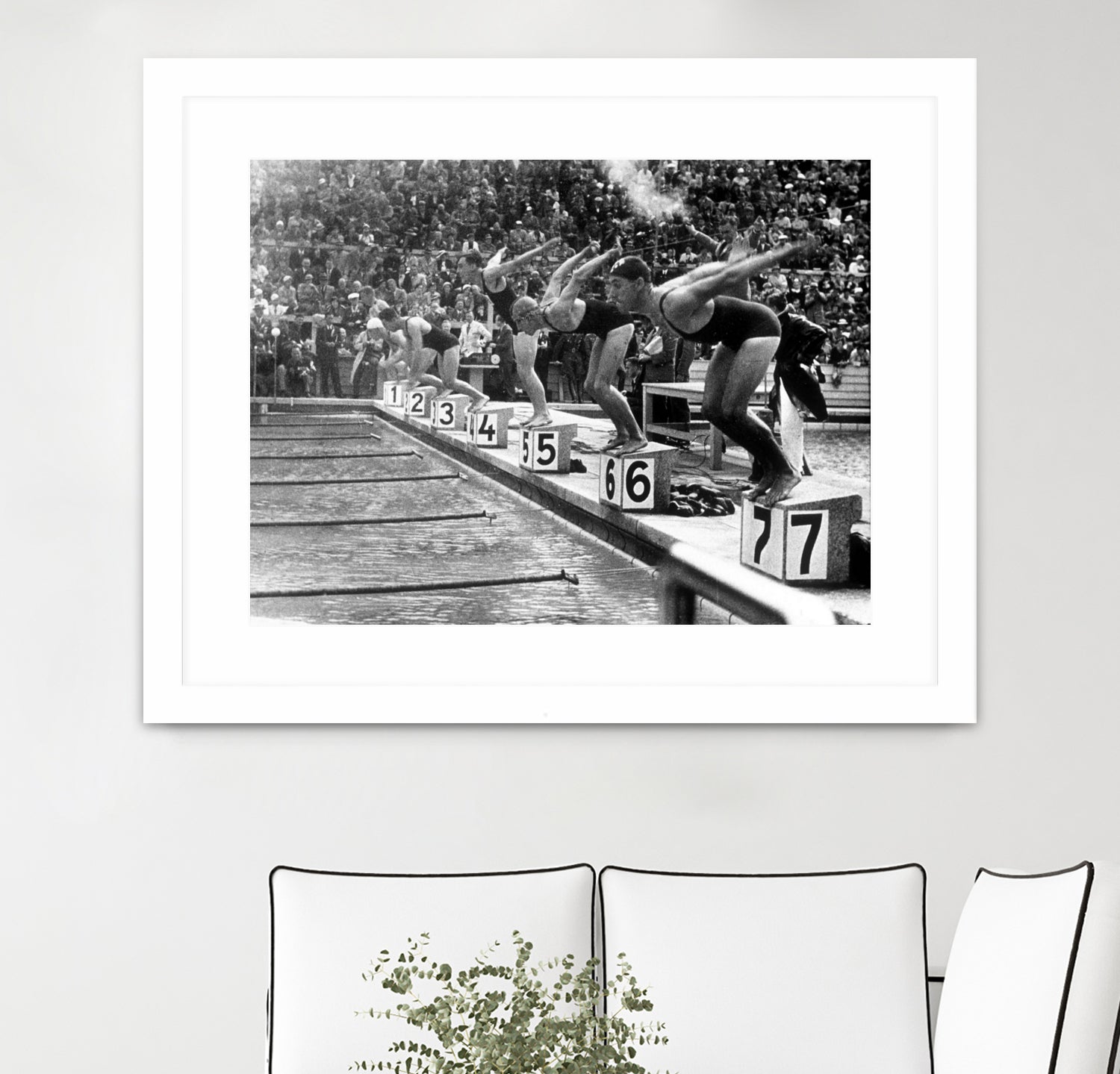 swimming competition at berlin Olympic Games in 1936 by Bridgeman Images on GIANT ART - black and white photgraphy