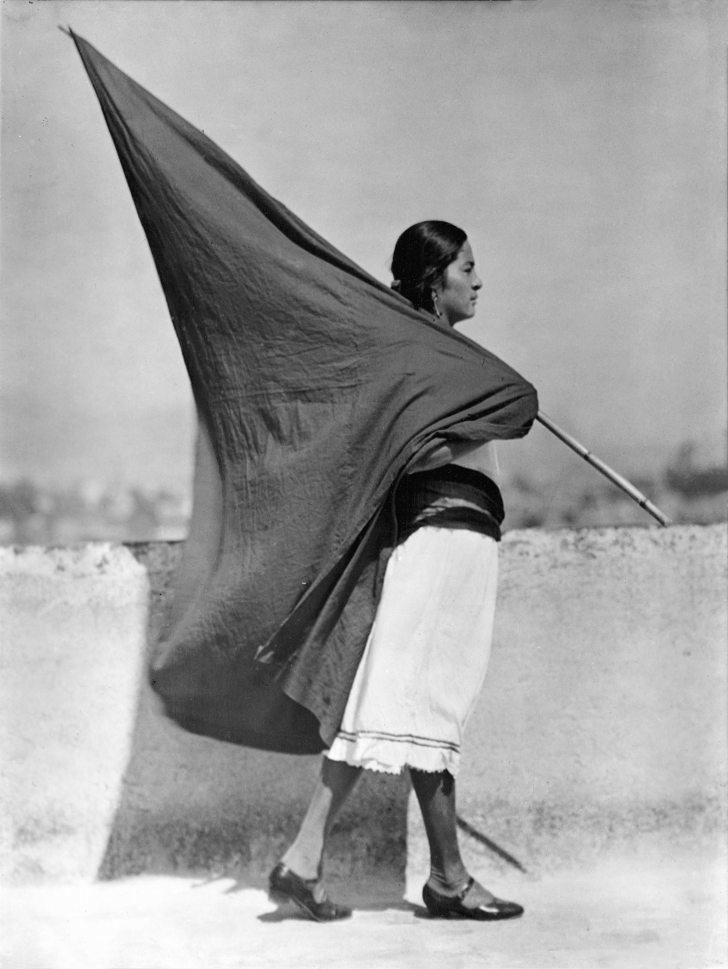 Woman with Flag, Mexico City, 1928 by Bridgeman Images on GIANT ART - black and white photography
