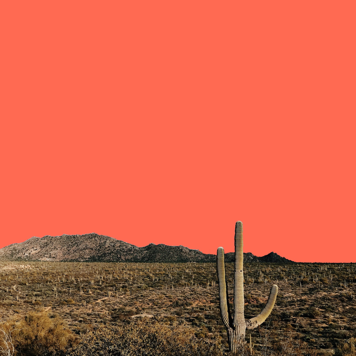 Mexico by Caterina Lo Cicero on GIANT ART