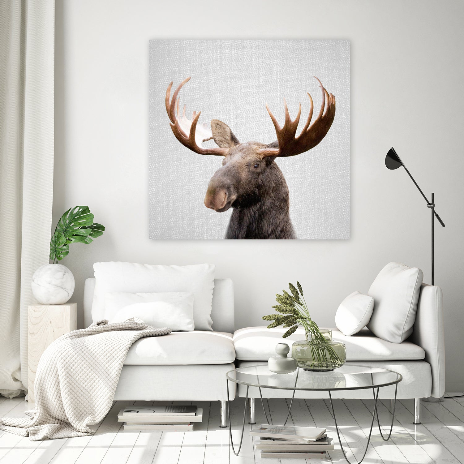 Moose - Colorful by Gal Pittel on GIANT ART - brown photo illustration