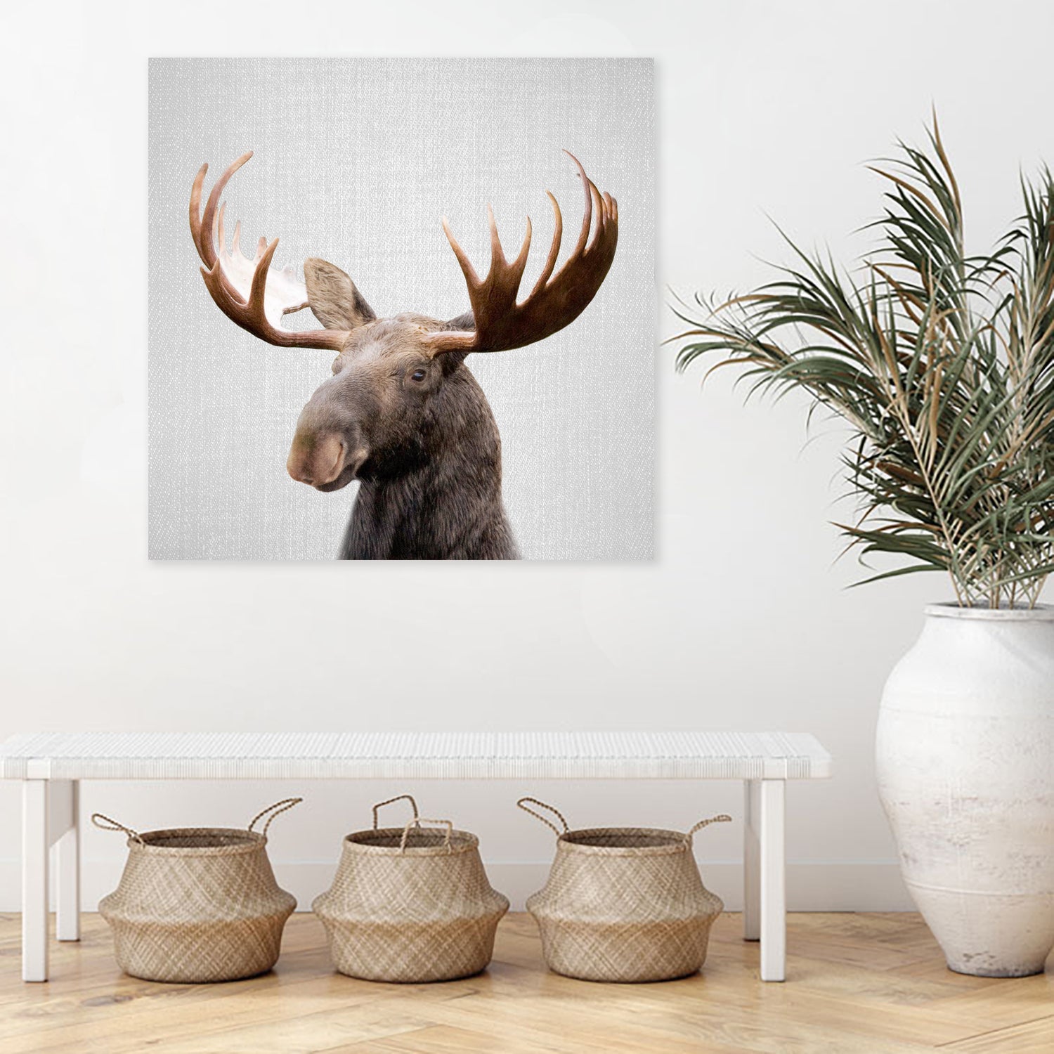 Moose - Colorful by Gal Pittel on GIANT ART - brown photo illustration