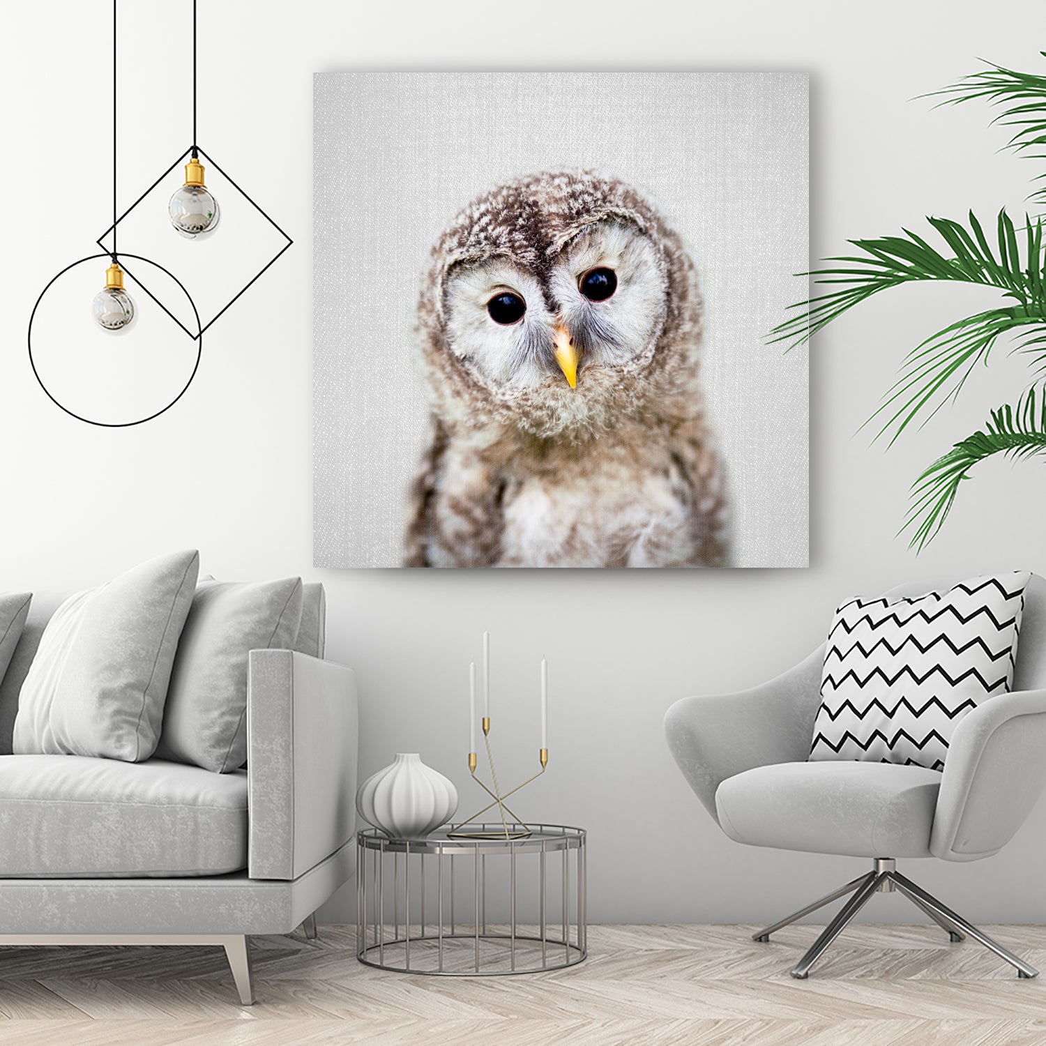 Baby Owl - Colorful by Gal Pittel on GIANT ART - brown digital painting