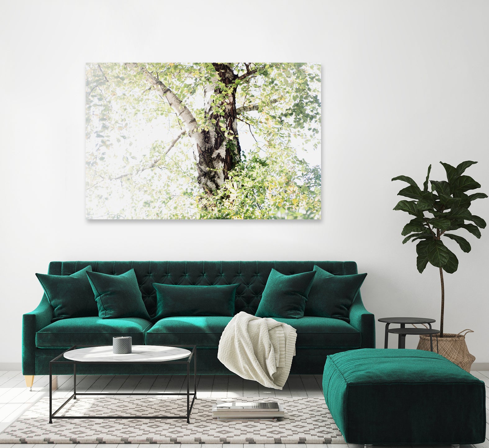 Dreamy Birch Tree 1 by Anitas Bellas Art on GIANT ART - coastal