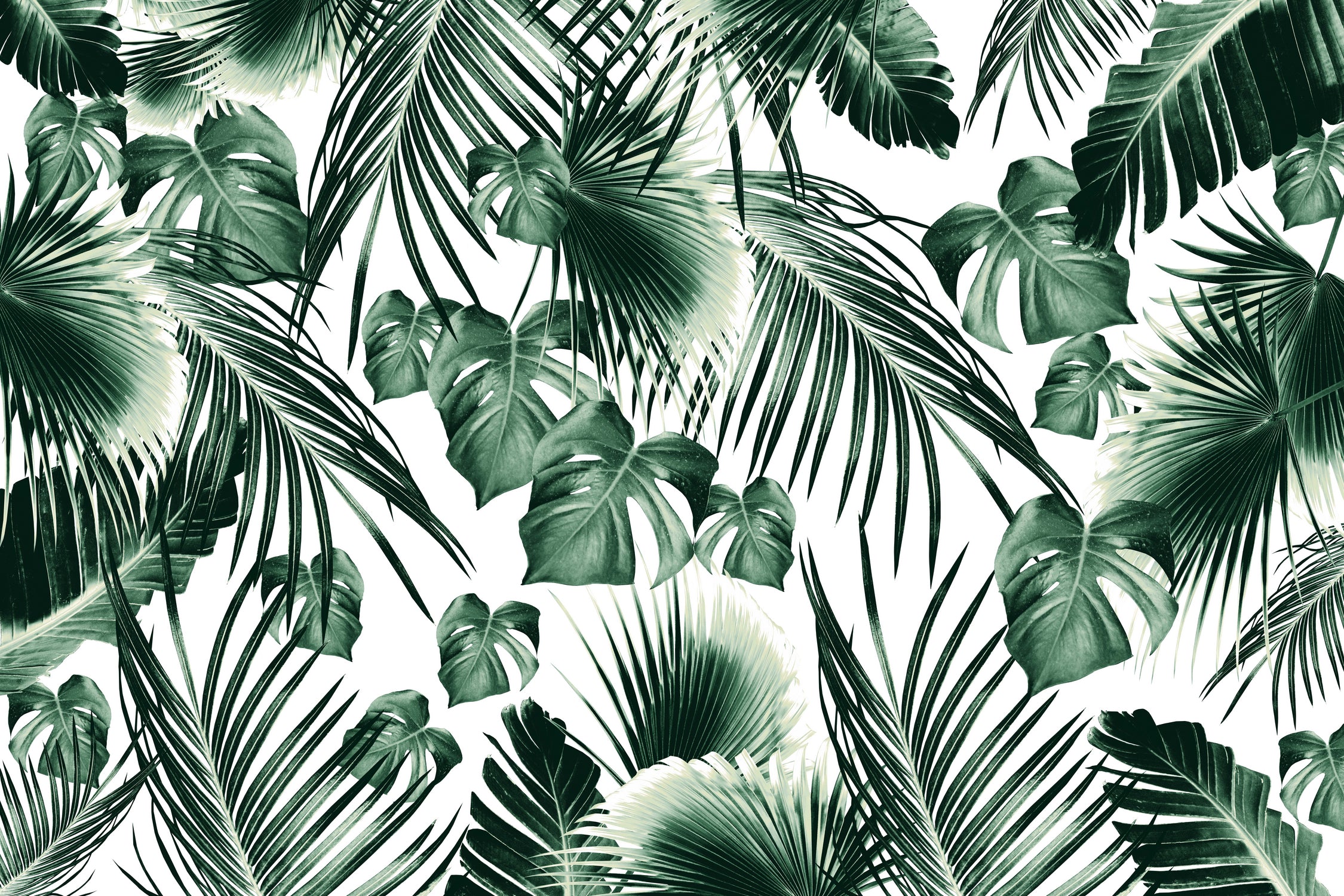 Tropical Jungle Leaves 7 by Anitas Bellas Art on GIANT ART - green botanical leaves