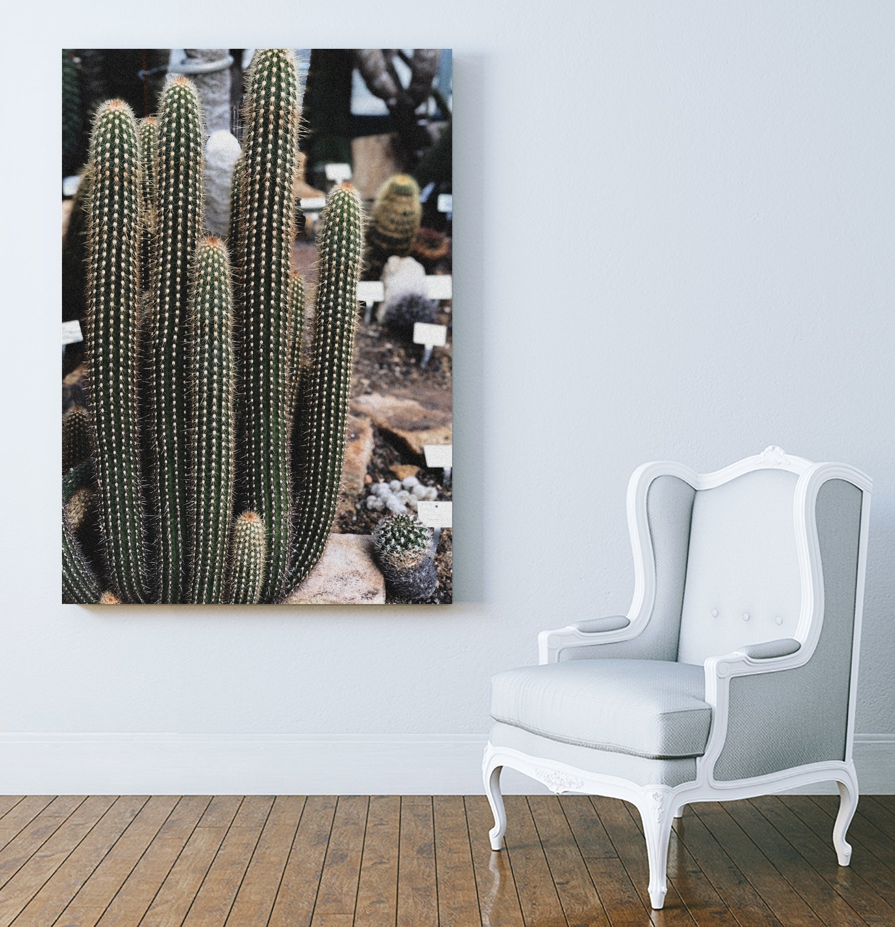 Micranthocereus Cactus by Anastasia Sawall on GIANT ART - green photo illustration
