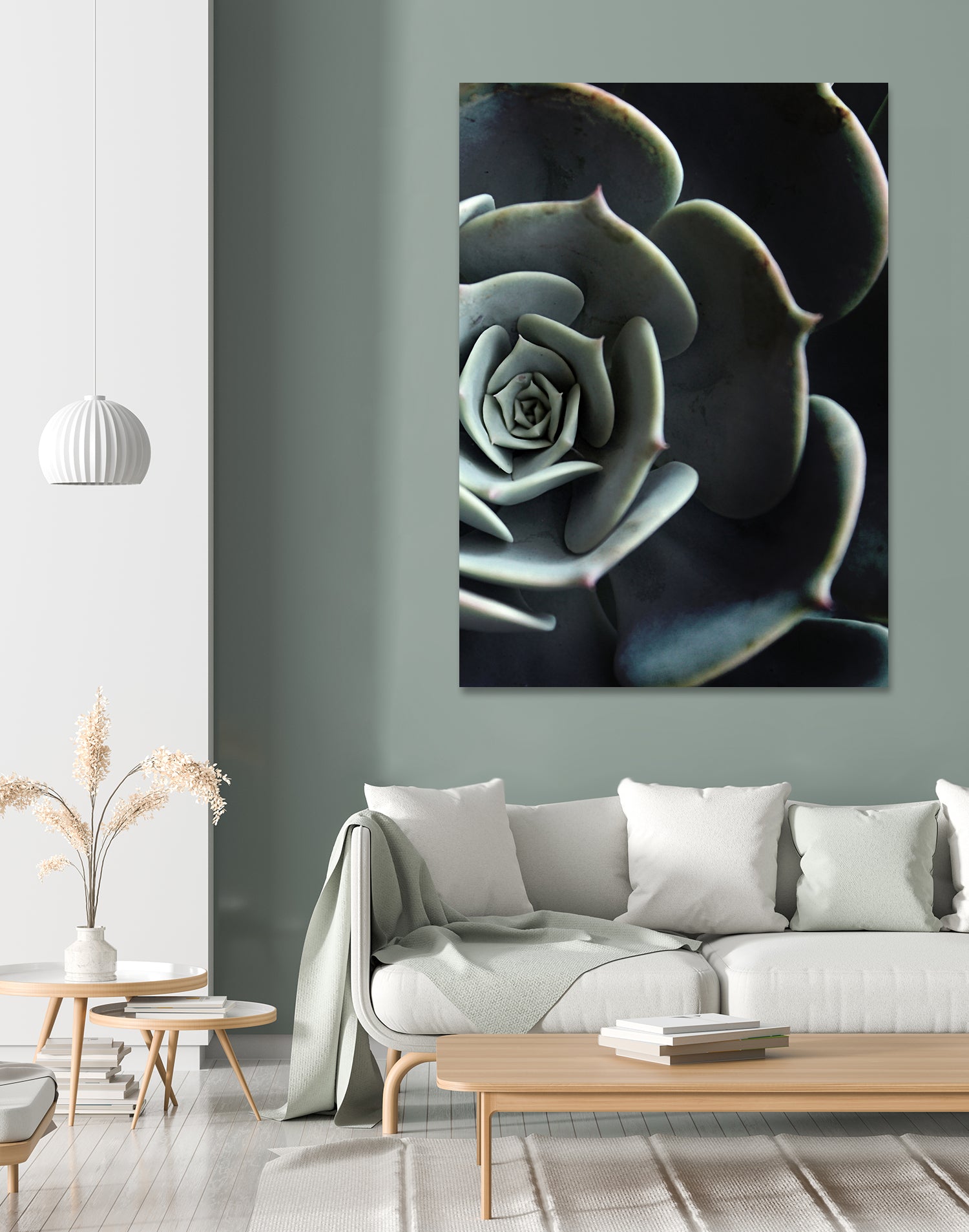 DARKSIDE OF SUCCULENTS XVI-B by Pia Schneider on GIANT ART - black photo manipulation