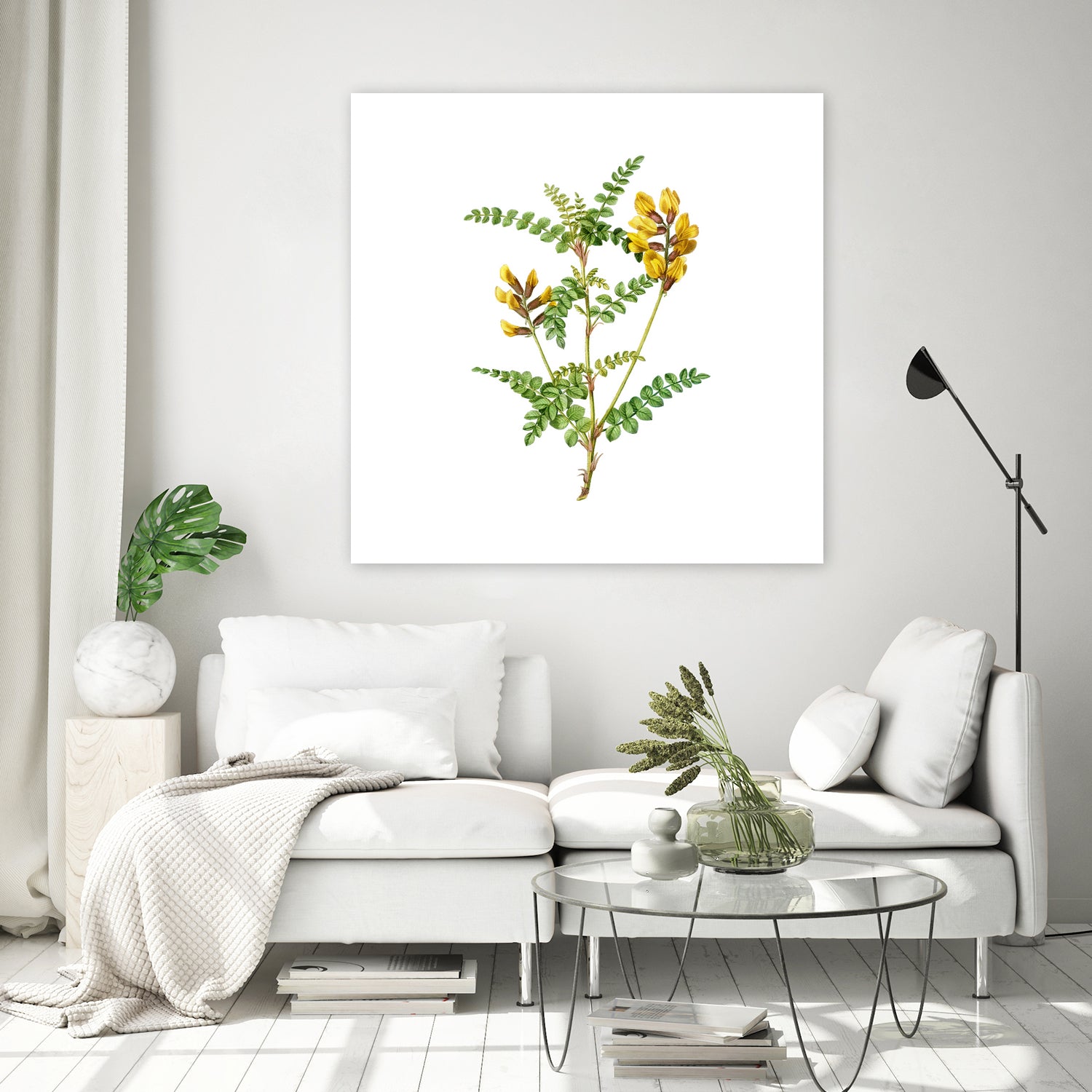 Vintage Calophaca Wolgarica Botanical Illustration by Raul Andre Petrasanta on GIANT ART - yellow mixed media