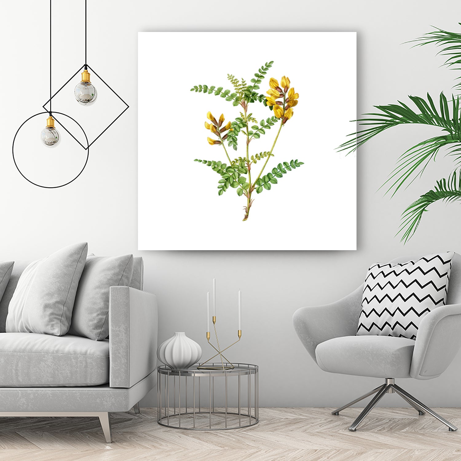 Vintage Calophaca Wolgarica Botanical Illustration by Raul Andre Petrasanta on GIANT ART - yellow mixed media