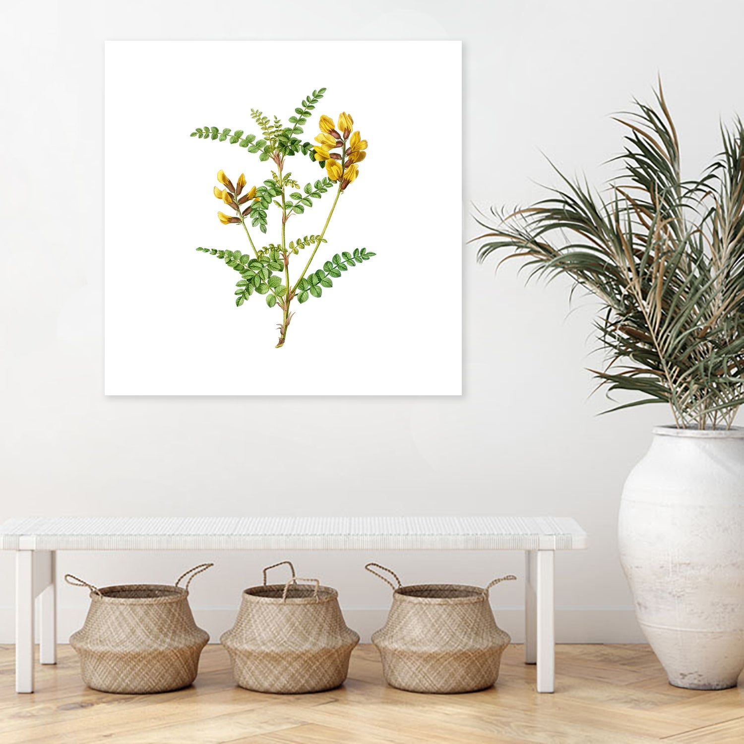 Vintage Calophaca Wolgarica Botanical Illustration by Raul Andre Petrasanta on GIANT ART - yellow mixed media