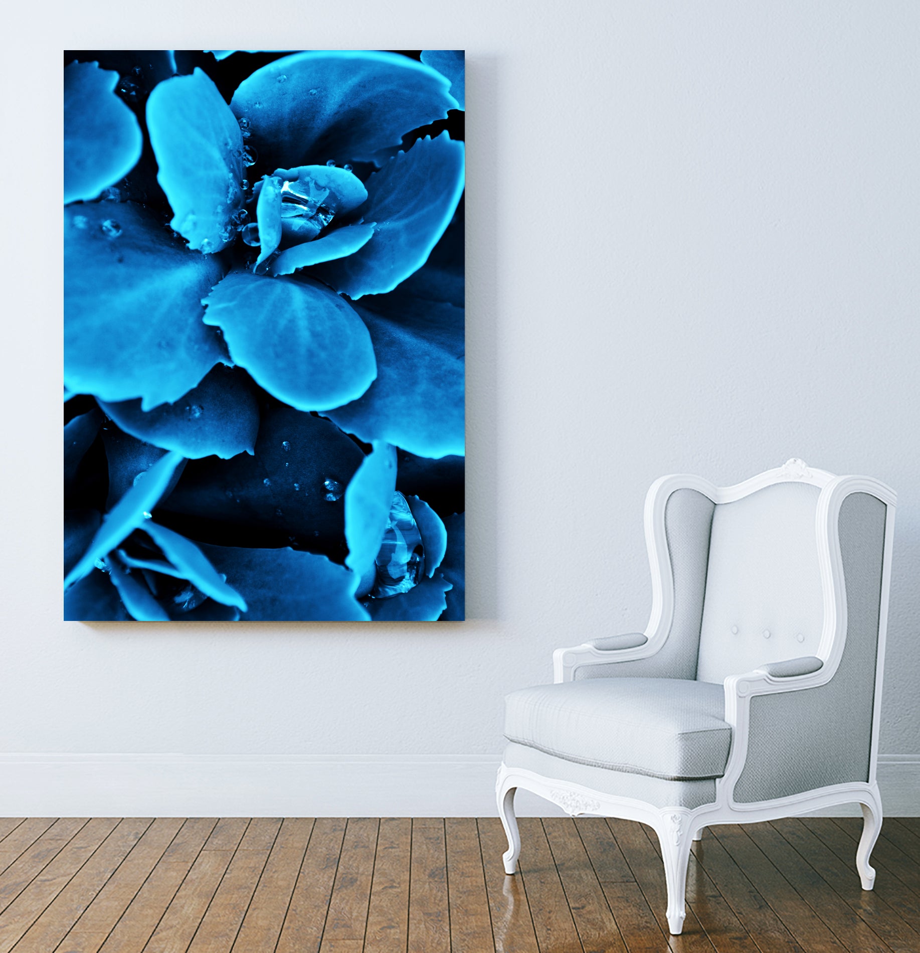 Succulent raindrops in blue by IOANNA PAPANIKOLAOU on GIANT ART - blue photo illustration