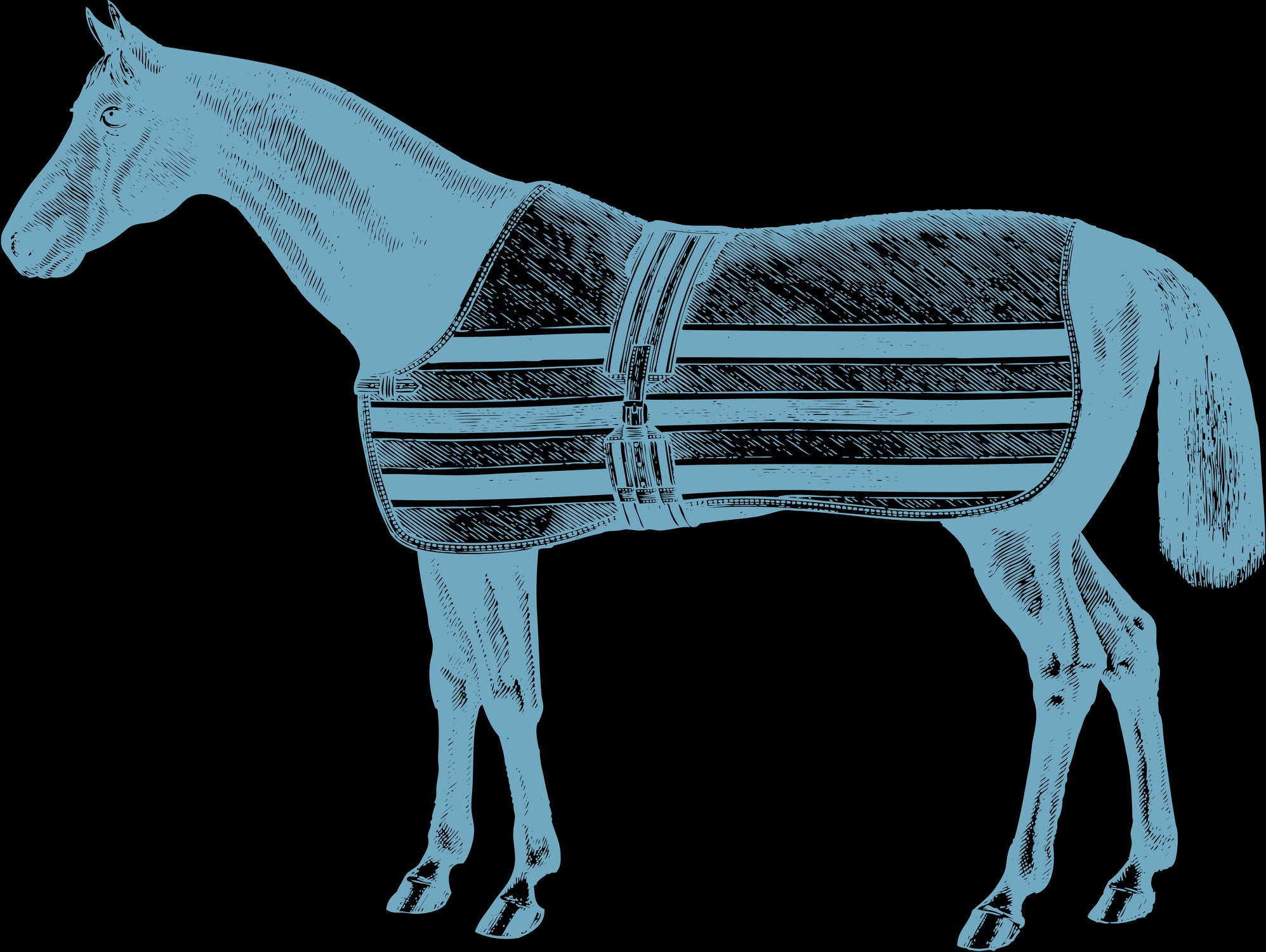 HORSE LT BLUE by Thomas Fernez on GIANT ART - blue digital drawing