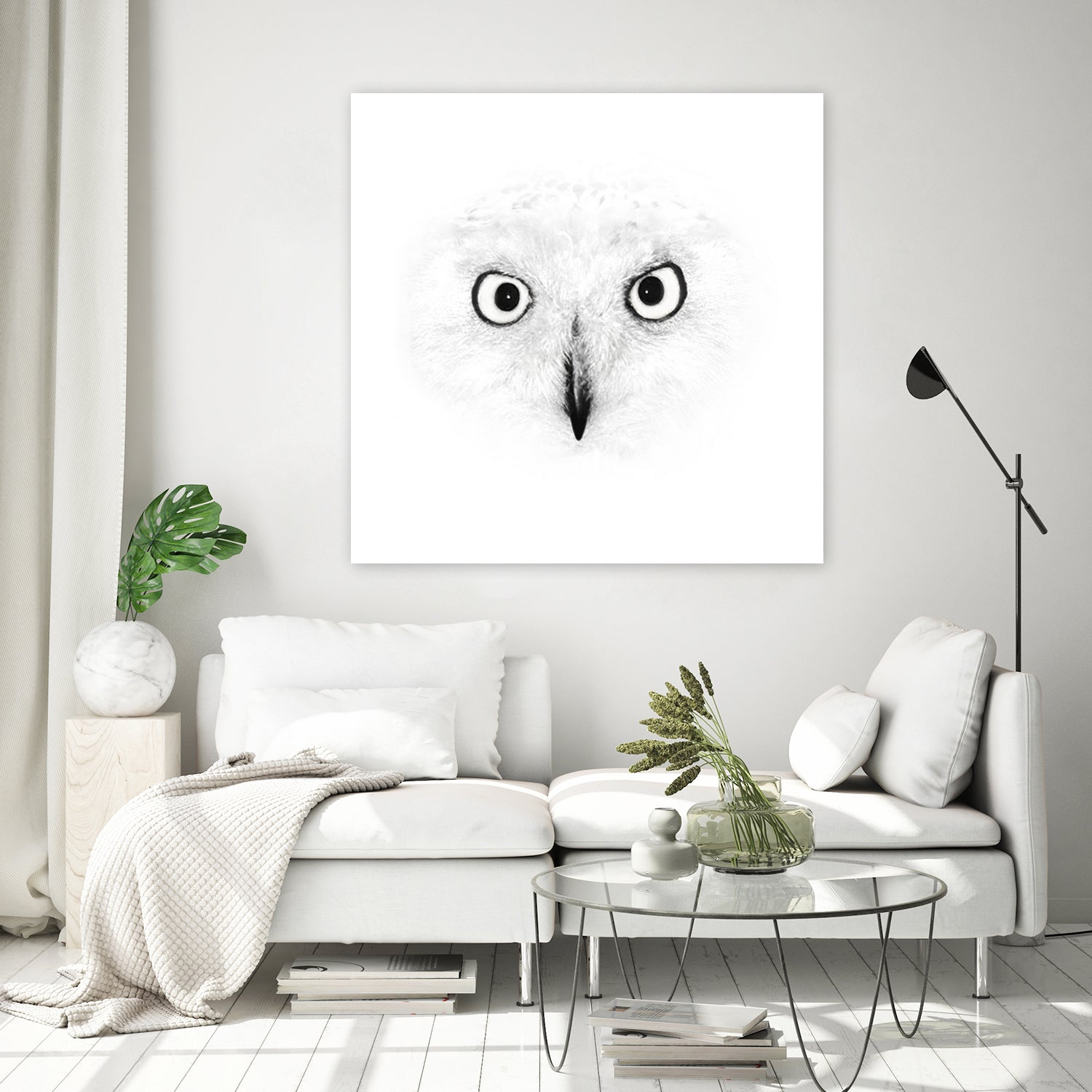 The Owl by Monica Cipriano on GIANT ART - white photo illustration