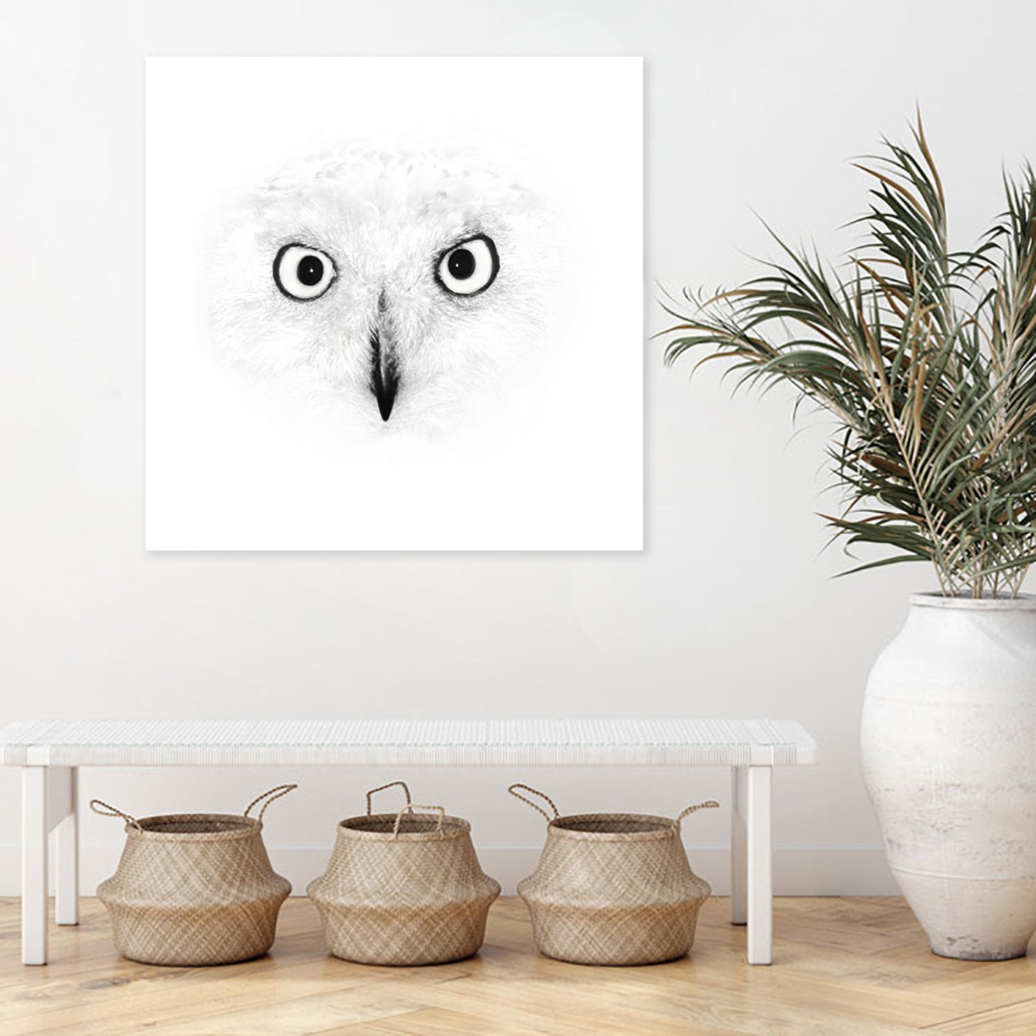 The Owl by Monica Cipriano on GIANT ART - white photo illustration