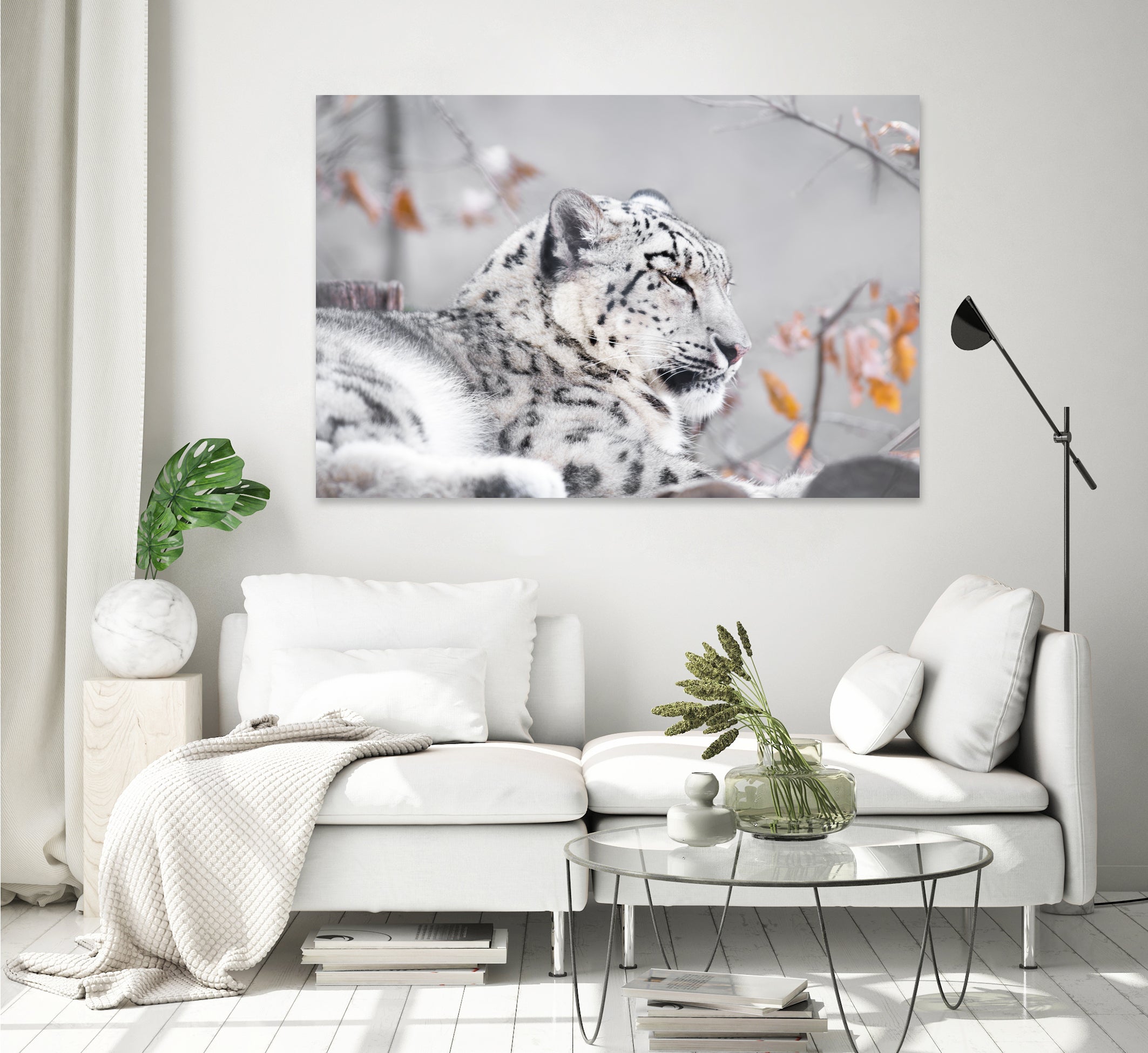 Snow leopard by Sarah Arthur on GIANT ART - gray photo illustration