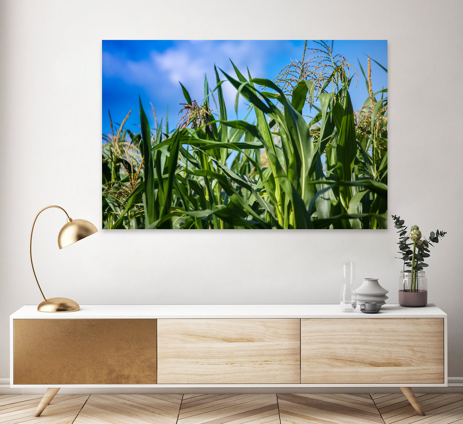 Corn Field Blue Sky Close-up by Anna Matveeva on GIANT ART - green photo illustration