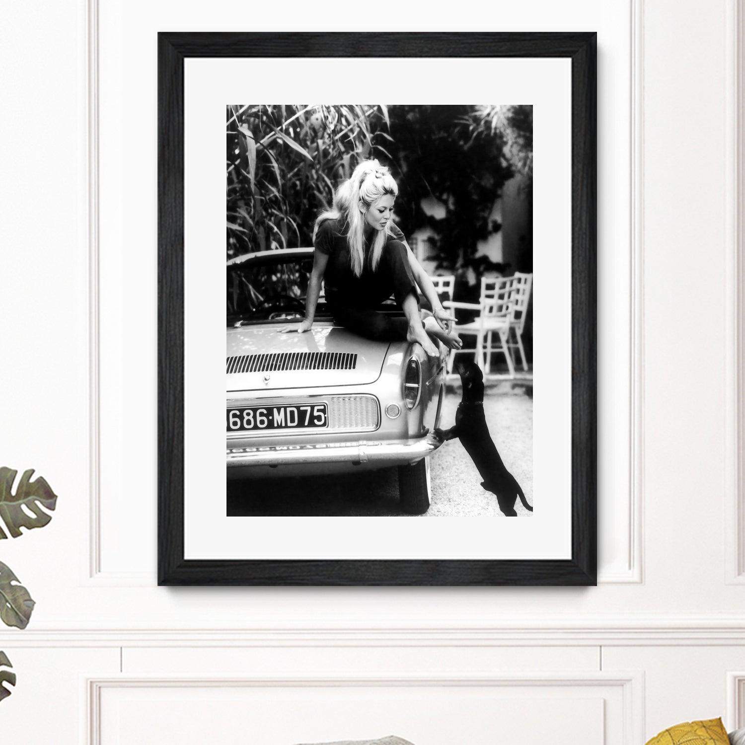 Brigitte Bardot with her dog in St. Tropez, 1962 by M Studio on GIANT ART - black and white photographie bardot