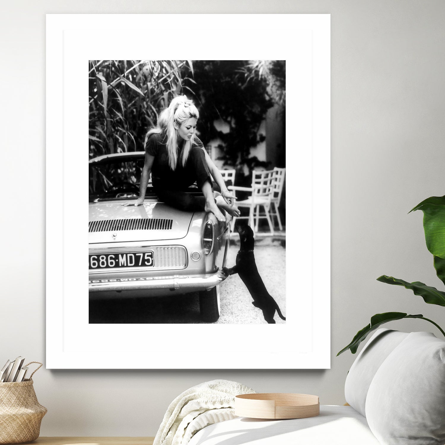 Brigitte Bardot with her dog in St. Tropez, 1962 by M Studio on GIANT ART - black and white photographie bardot