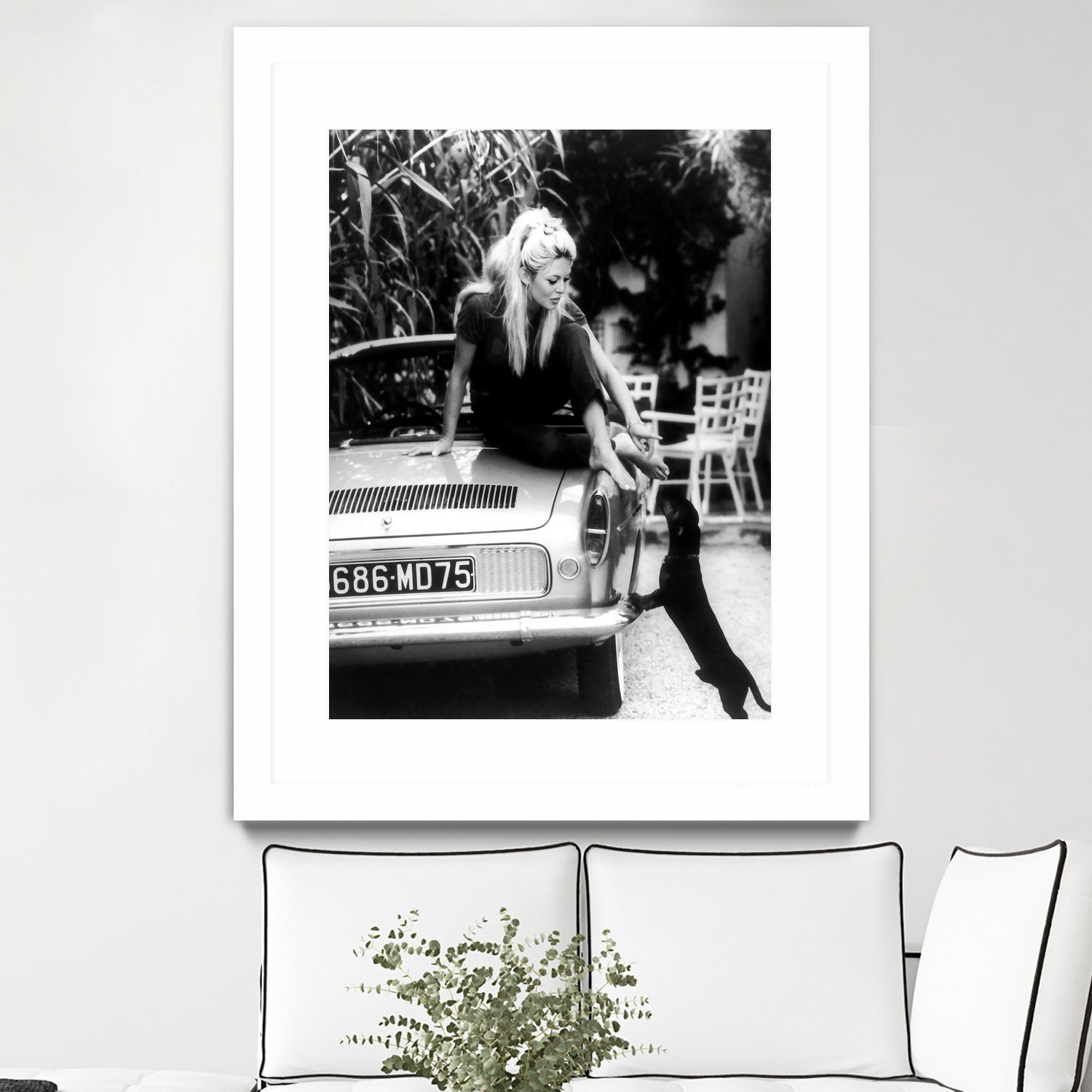 Brigitte Bardot with her dog in St. Tropez, 1962 by M Studio on GIANT ART - black and white photographie bardot