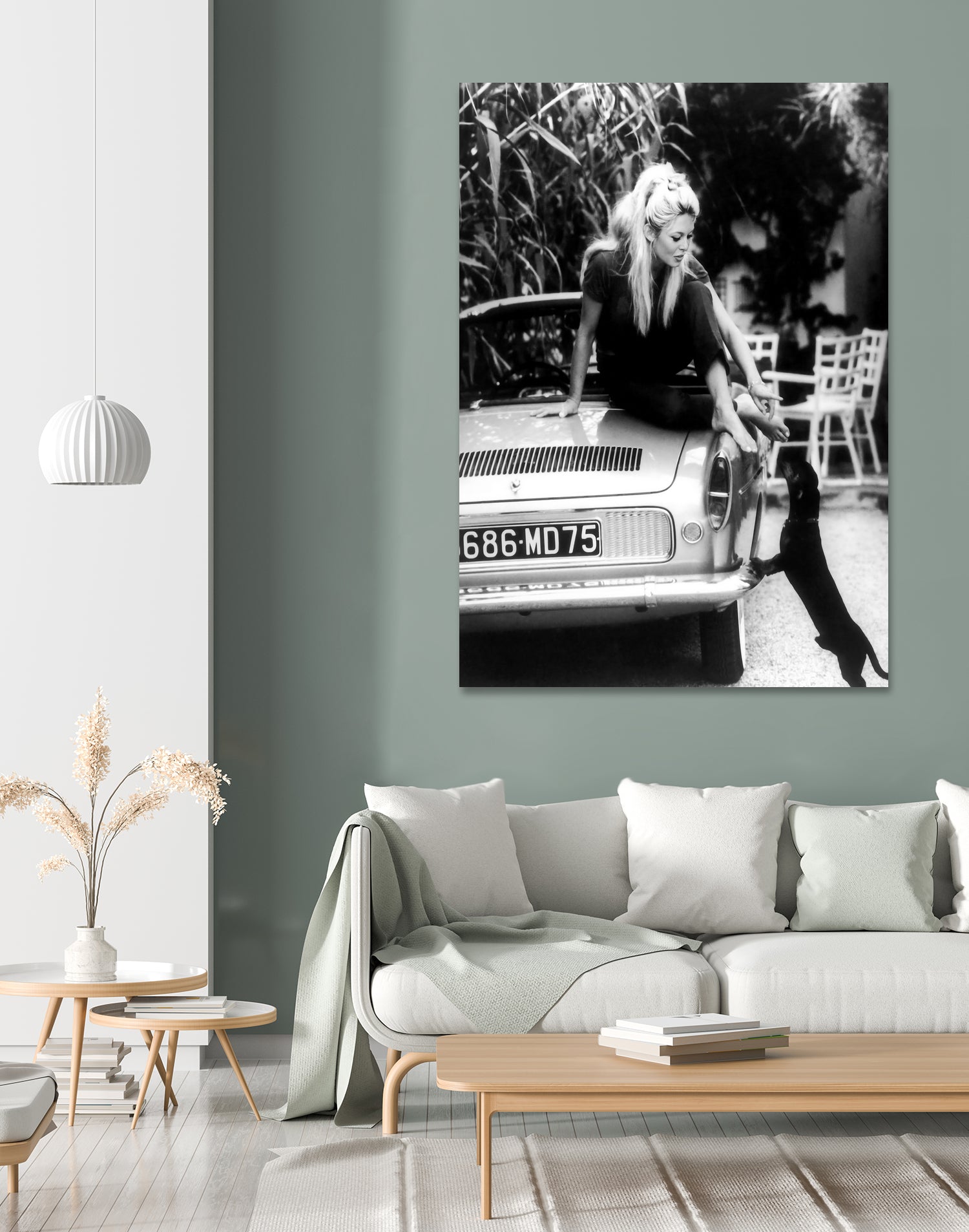 Brigitte Bardot with her dog in St. Tropez, 1962 by M Studio on GIANT ART - black and white photographie bardot