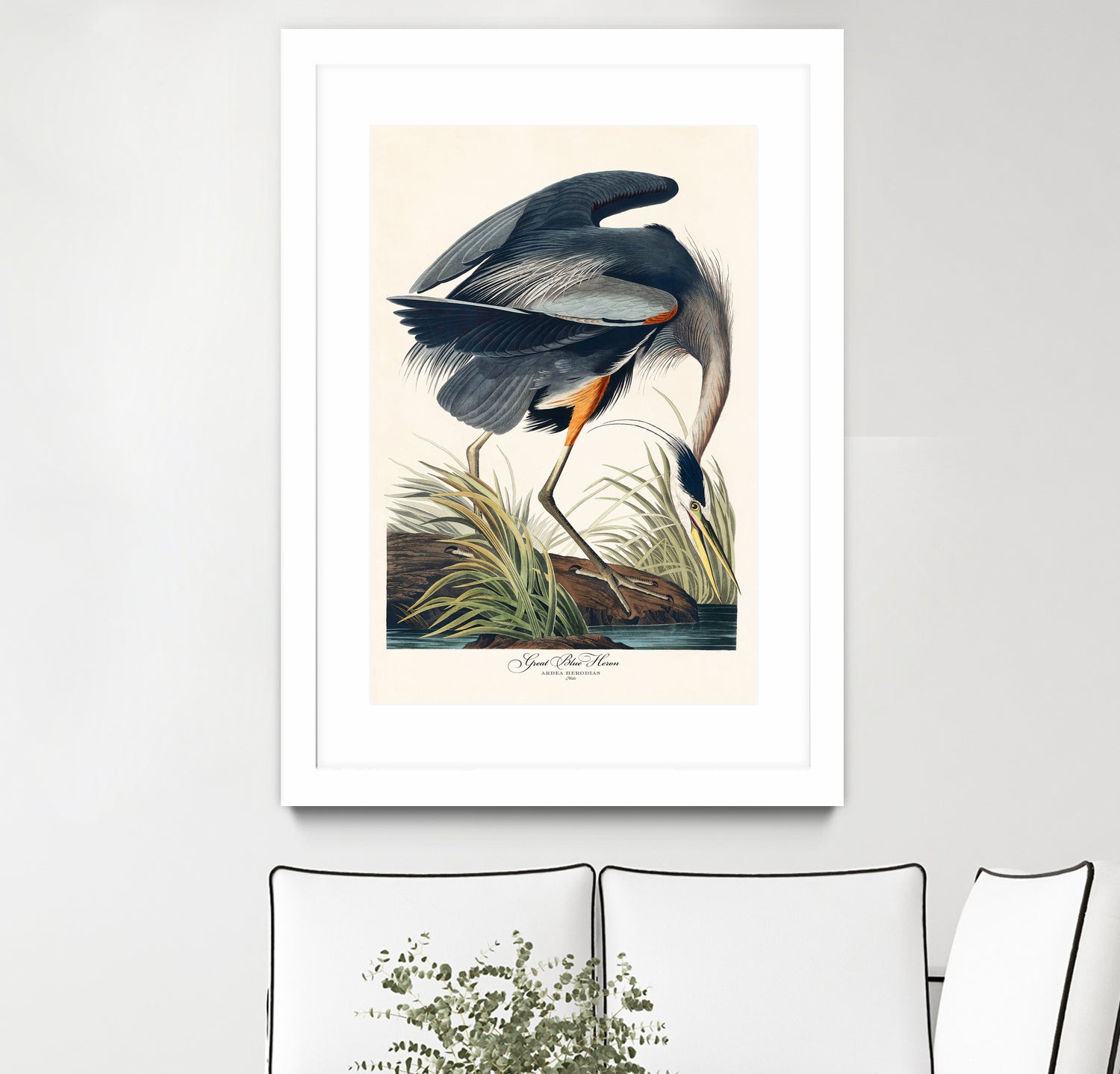 Great Blue Heron by John James Audubon on GIANT ART - green botanical nature