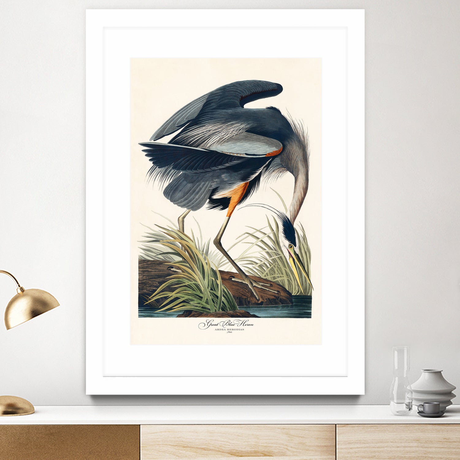 Great Blue Heron by John James Audubon on GIANT ART - green botanical nature