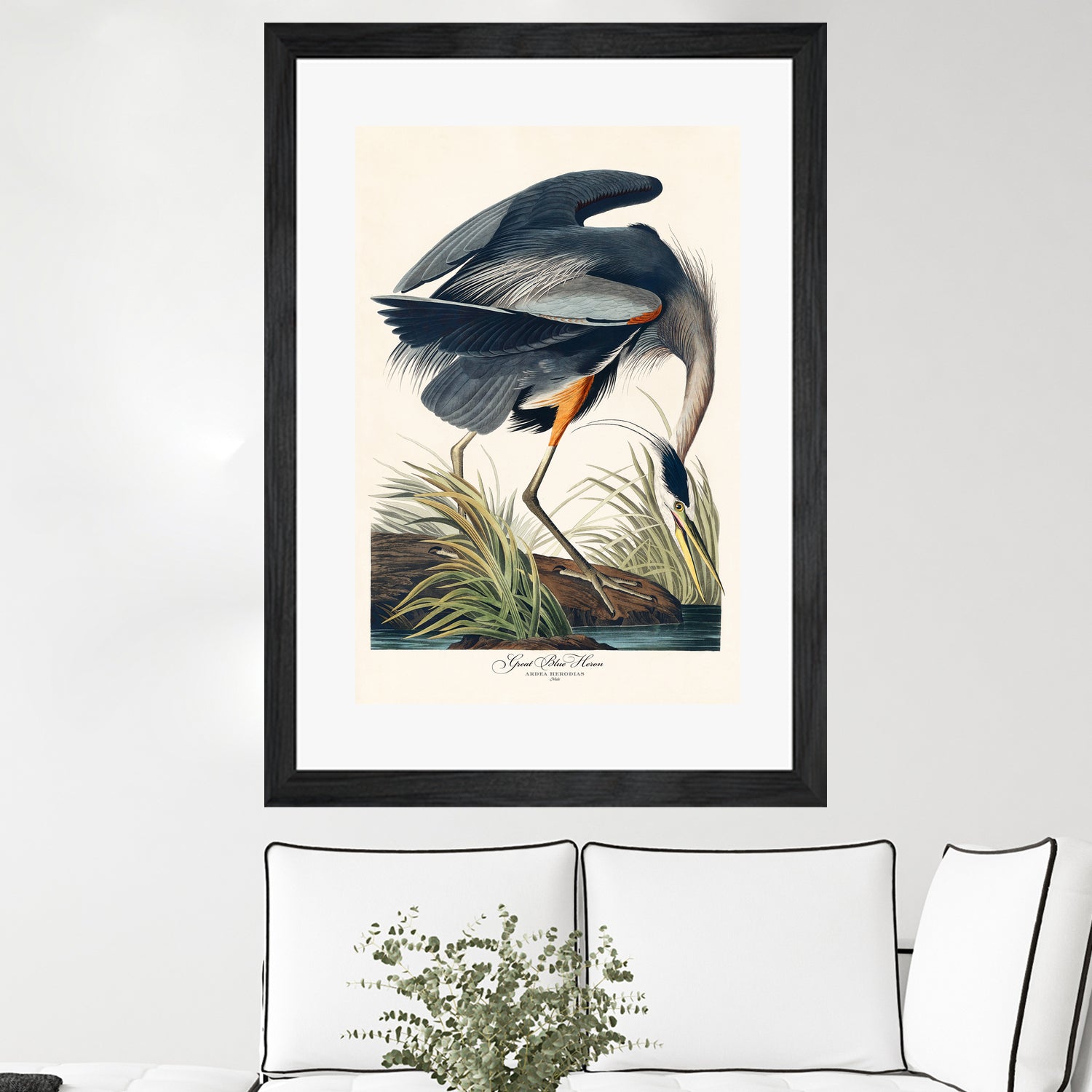 Great Blue Heron by John James Audubon on GIANT ART - green botanical nature