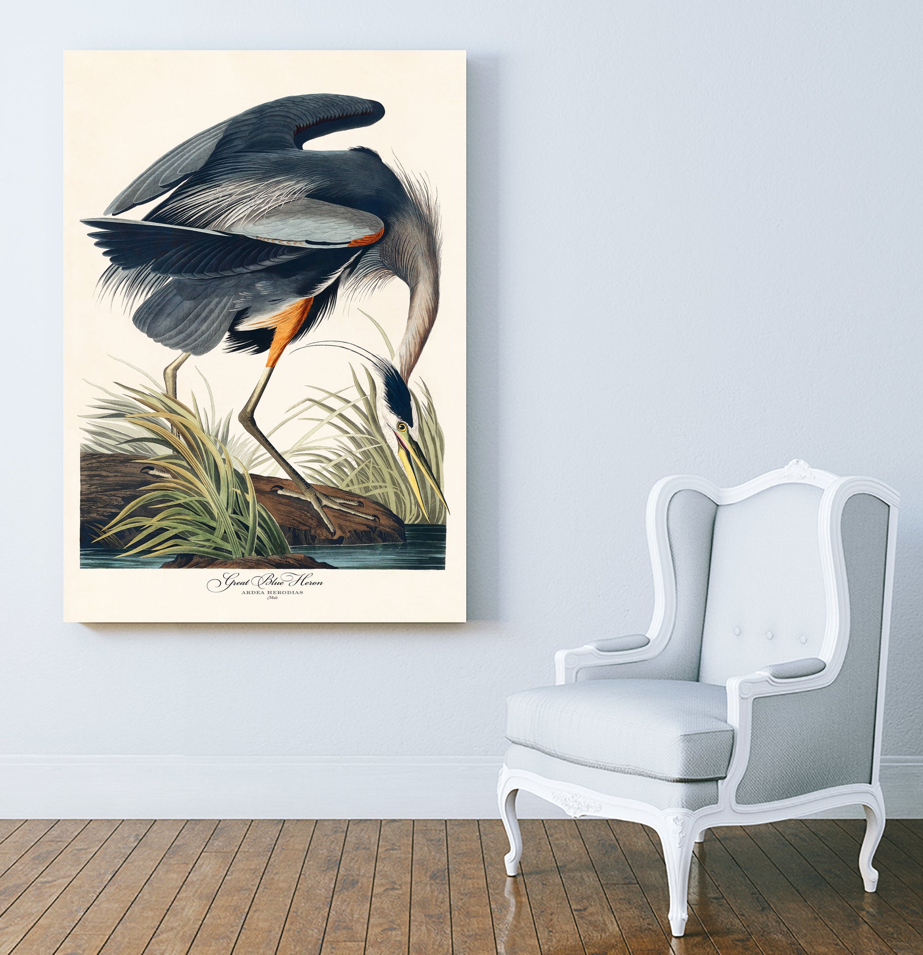 Great Blue Heron by John James Audubon on GIANT ART - green botanical nature