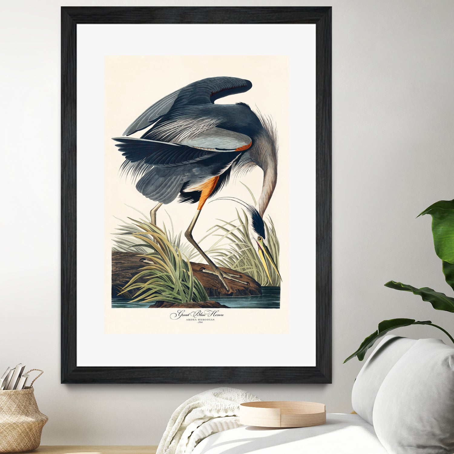 Great Blue Heron by John James Audubon on GIANT ART - green botanical nature