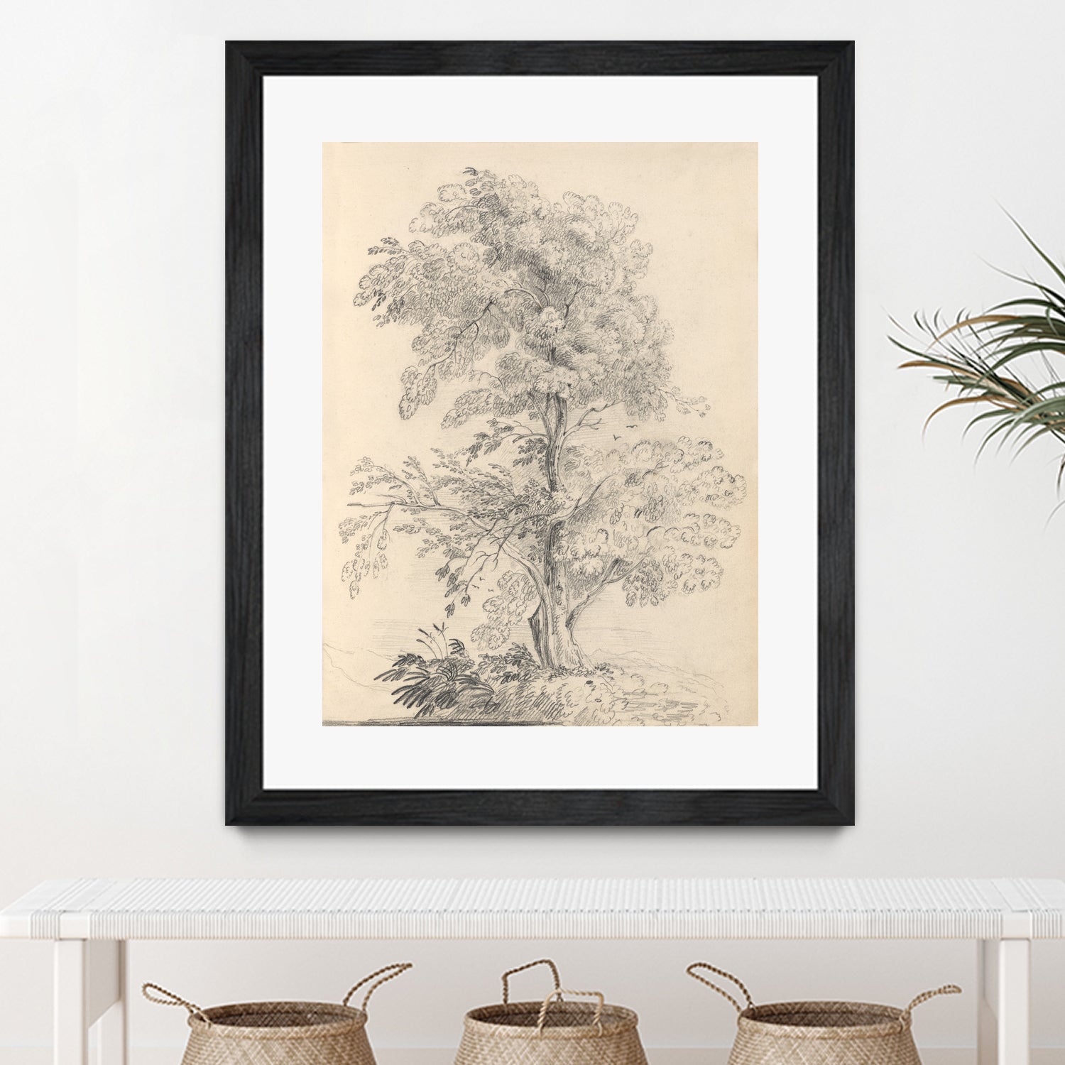 Tree Sketch by Wild Apple Portfolio on GIANT ART - abstract