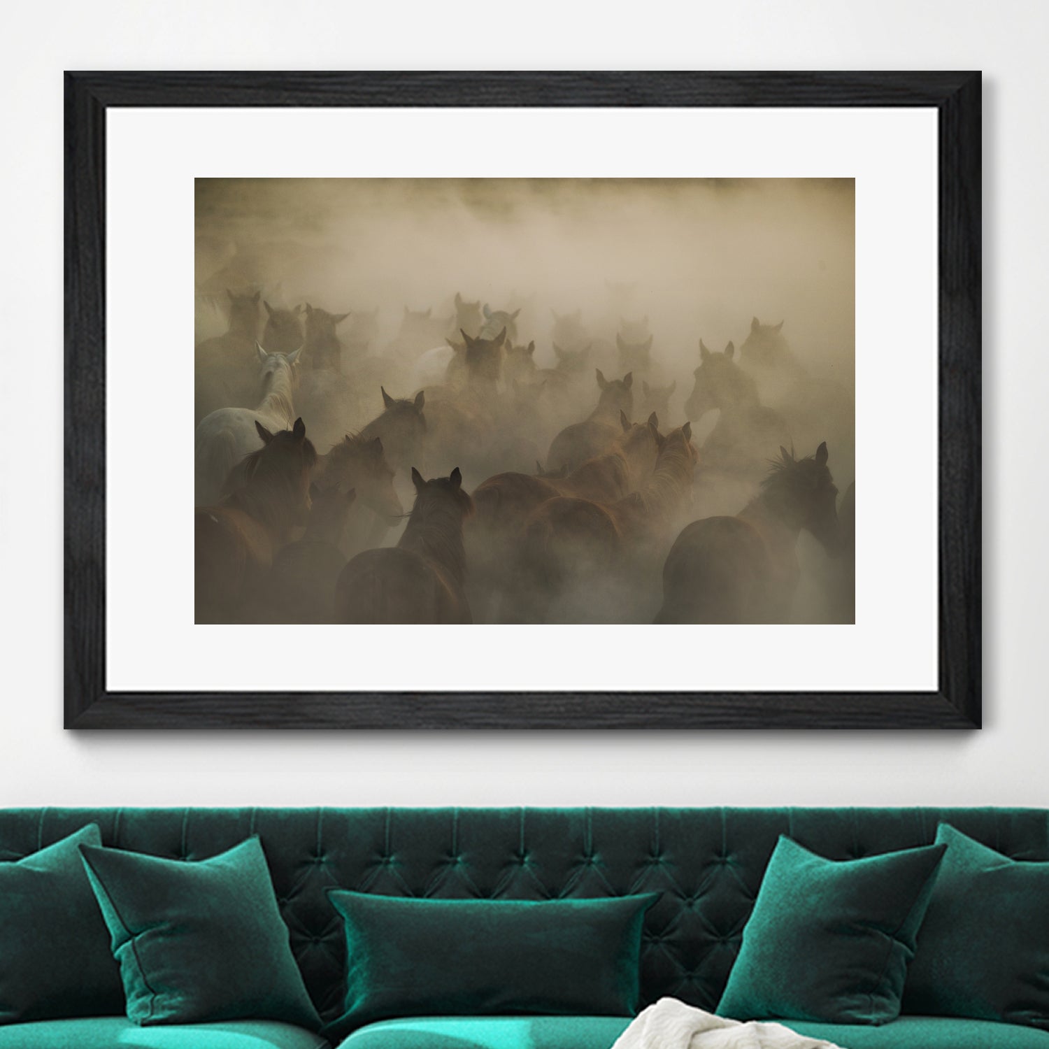 in dust by Huseyin on GIANT ART - photography horses