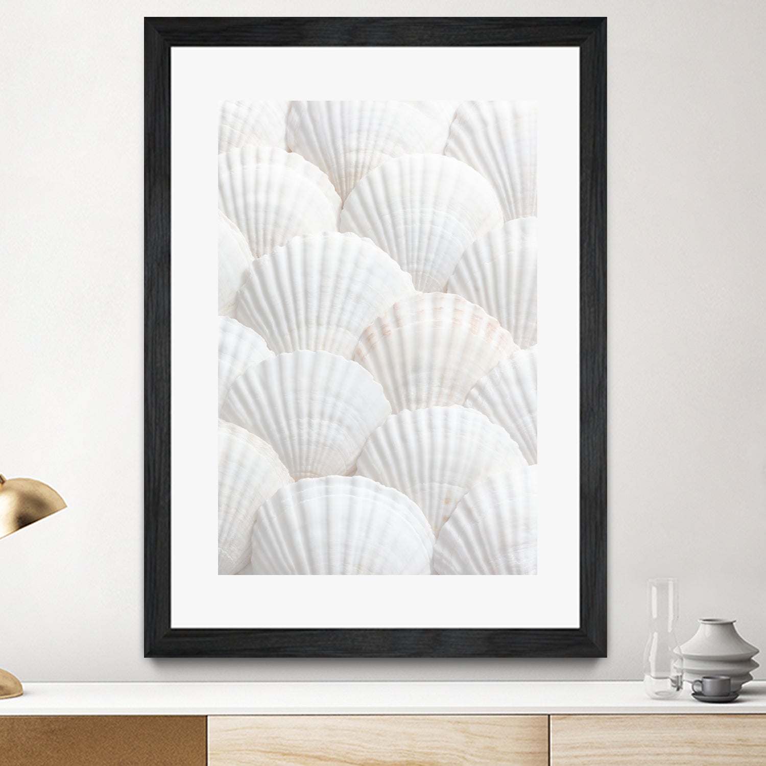 Shells_3 by Pictufy Studio III on GIANT ART - photography shells