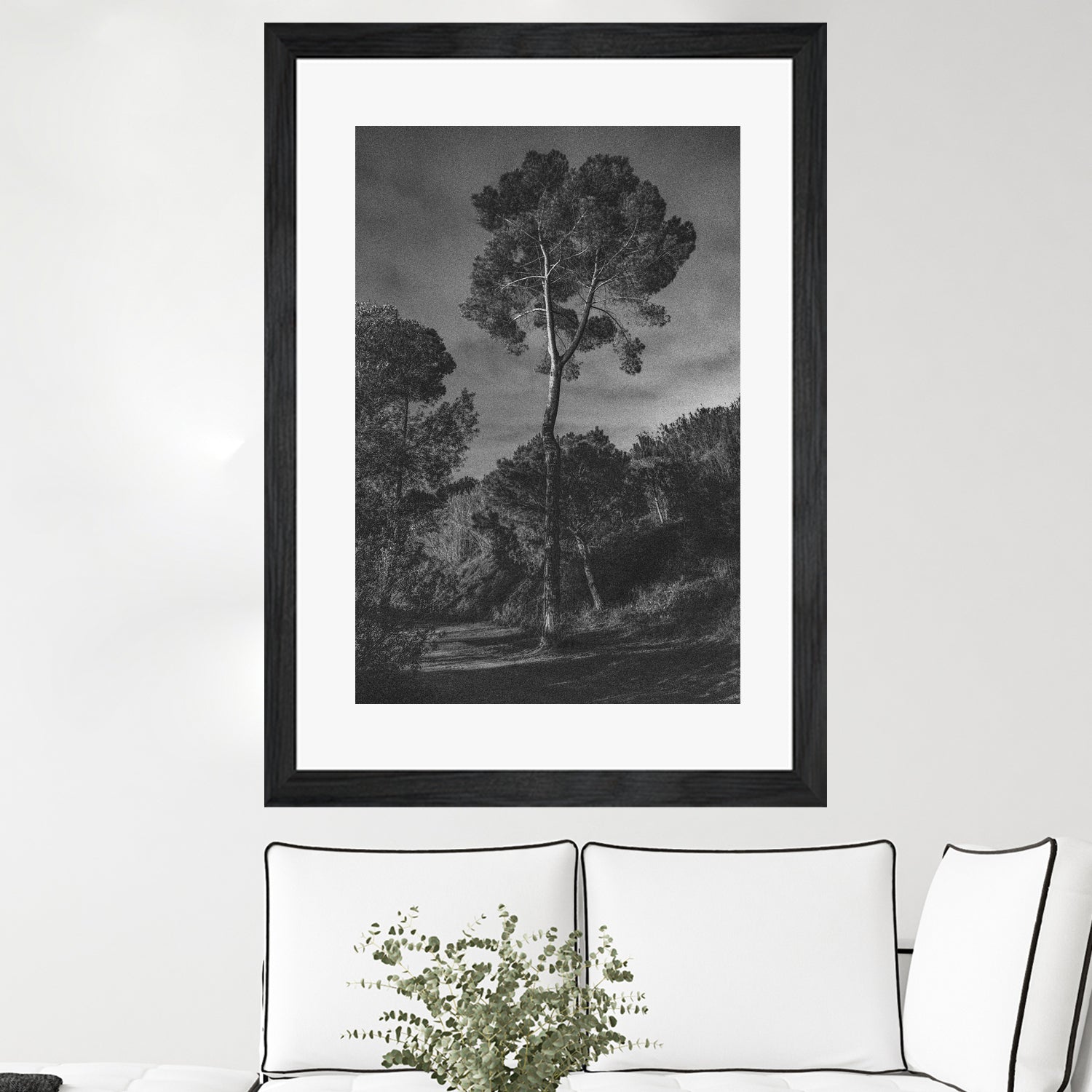 Arbores by Pepa on GIANT ART - black botanical framed canvas