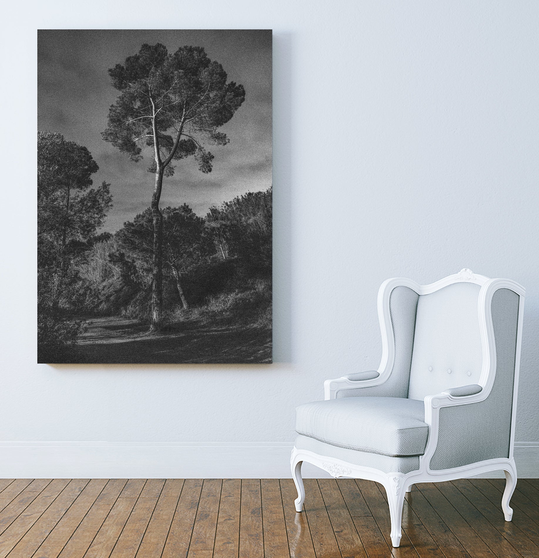 Arbores by Pepa on GIANT ART - black botanical framed canvas