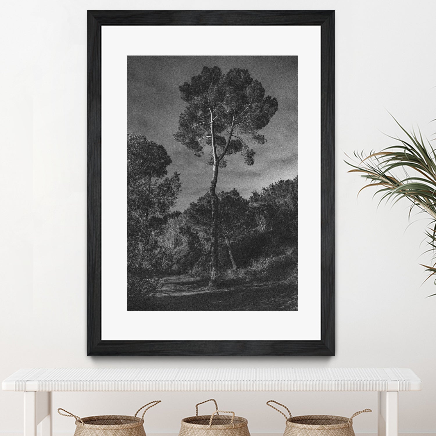 Arbores by Pepa on GIANT ART - black botanical framed canvas