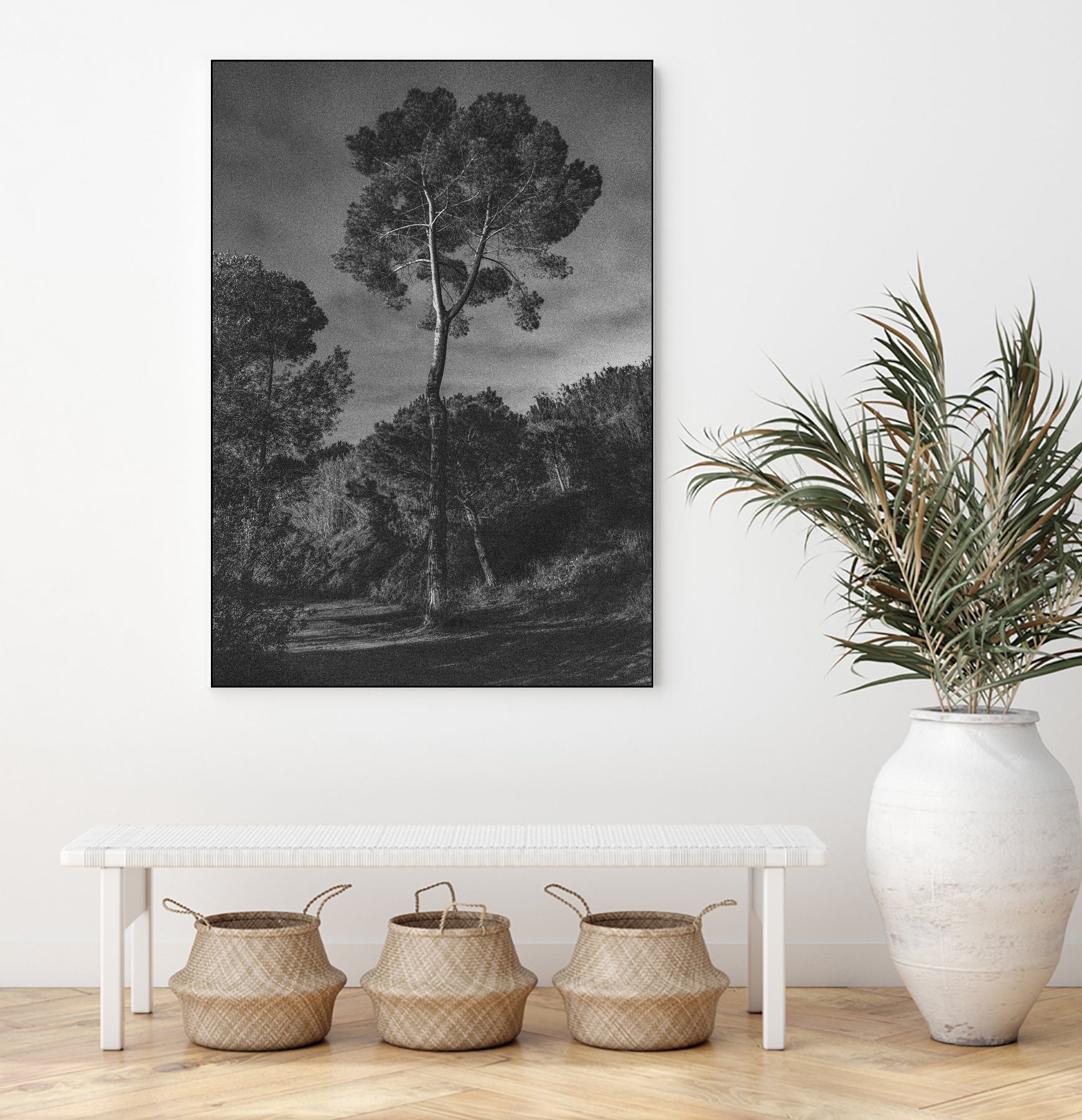 Arbores by Pepa on GIANT ART - black botanical framed canvas