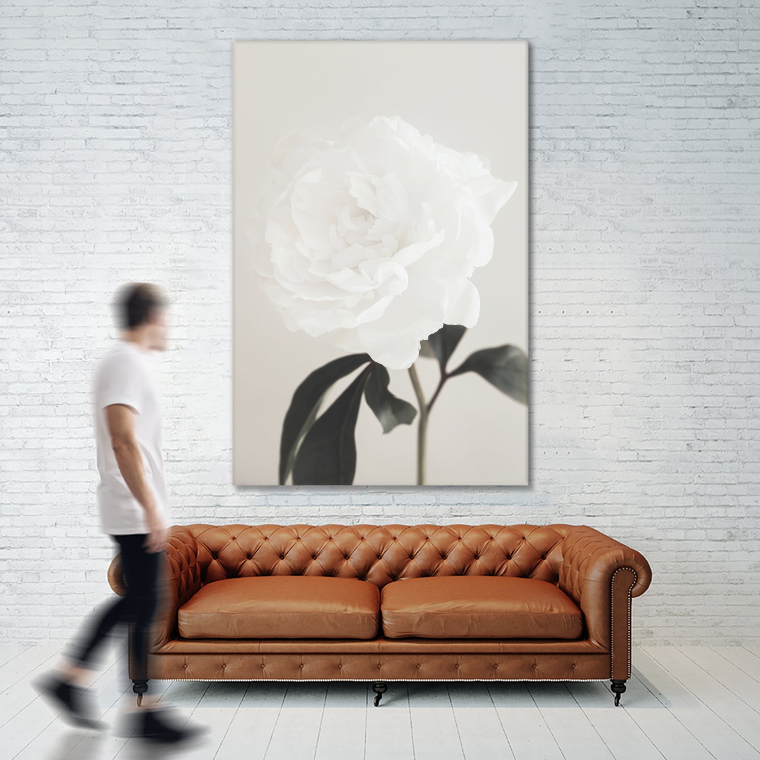 Peony 03 by Pictufy Studio III on GIANT ART - still life flower