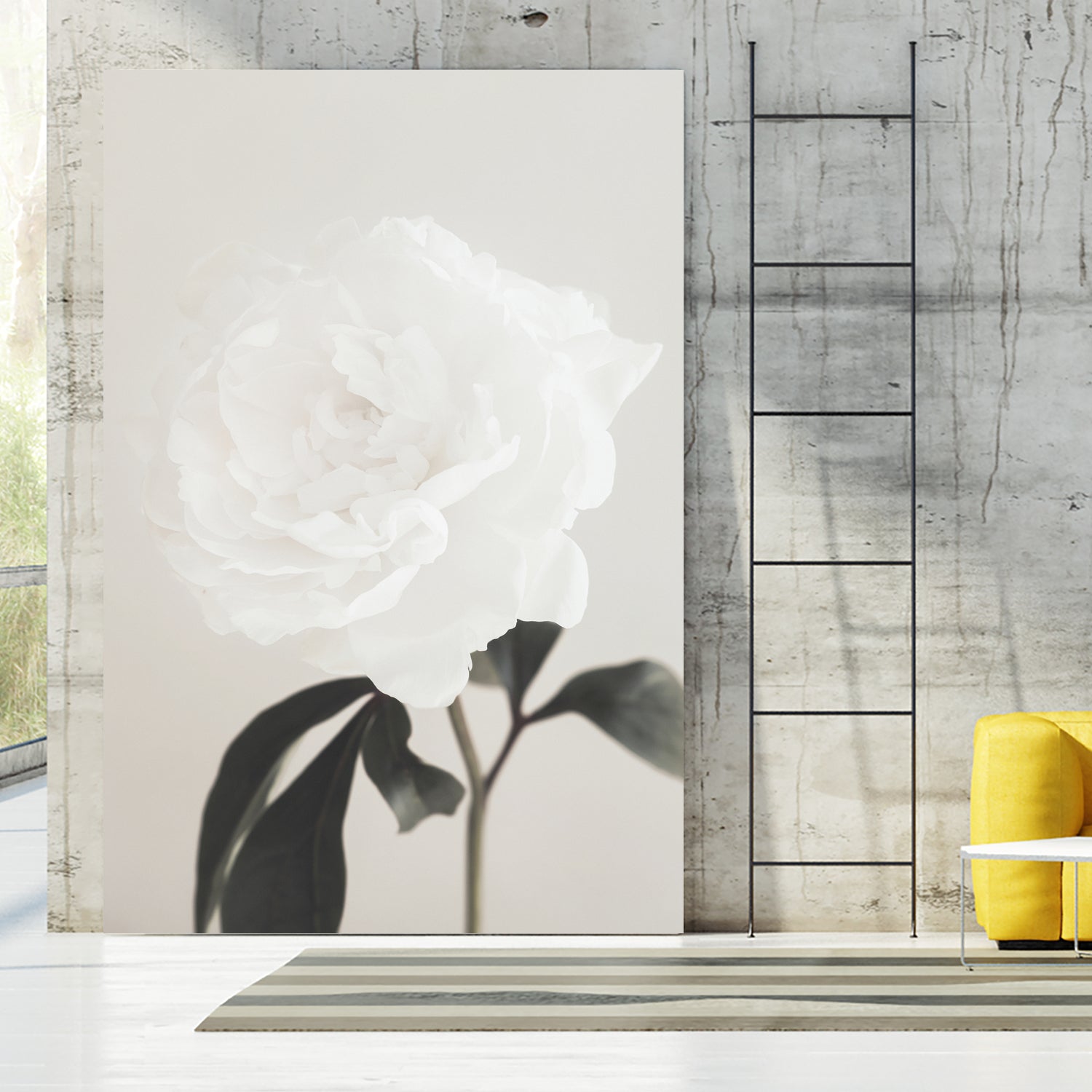 Peony 03 by Pictufy Studio III on GIANT ART - still life flower