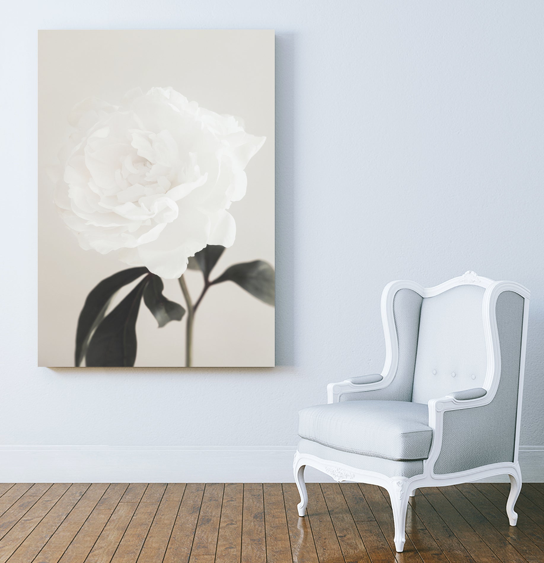 Peony 03 by Pictufy Studio III on GIANT ART - still life flower