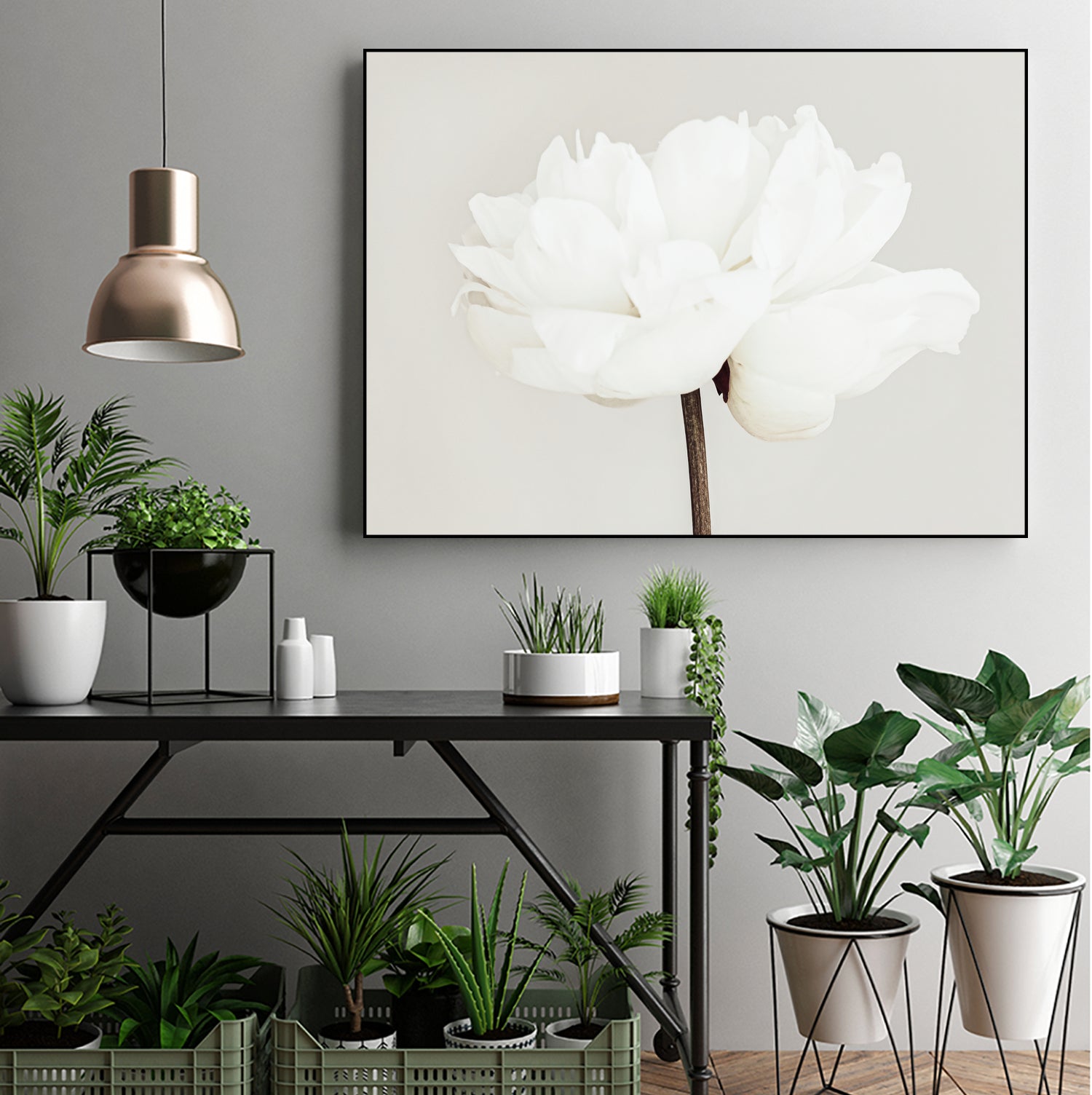 Peony 11 by Pictufy Studio III on GIANT ART - photography flower