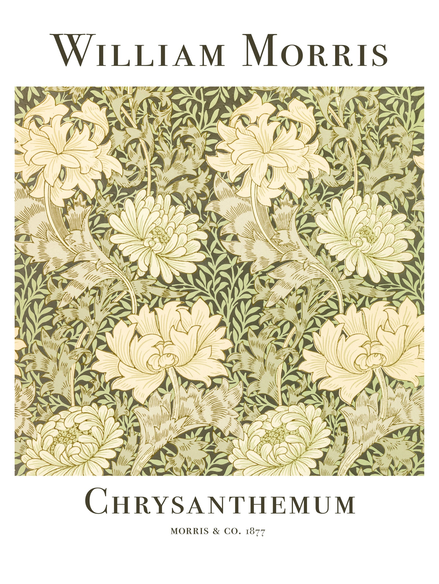 Chrysanthemum by William Morris on GIANT ART - typography flowers and plants typography