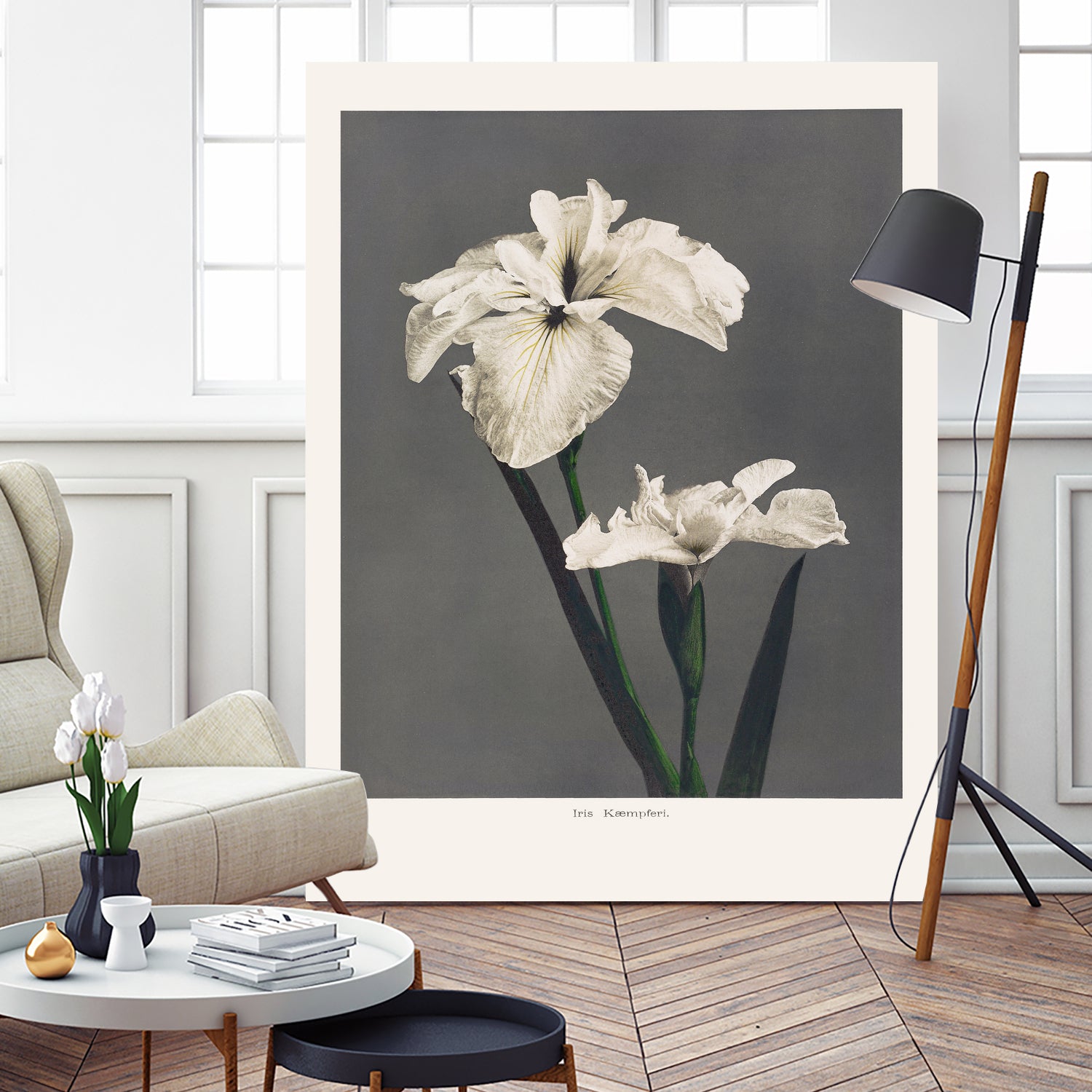 Iris KAbmpferi by Pictufy on GIANT ART -