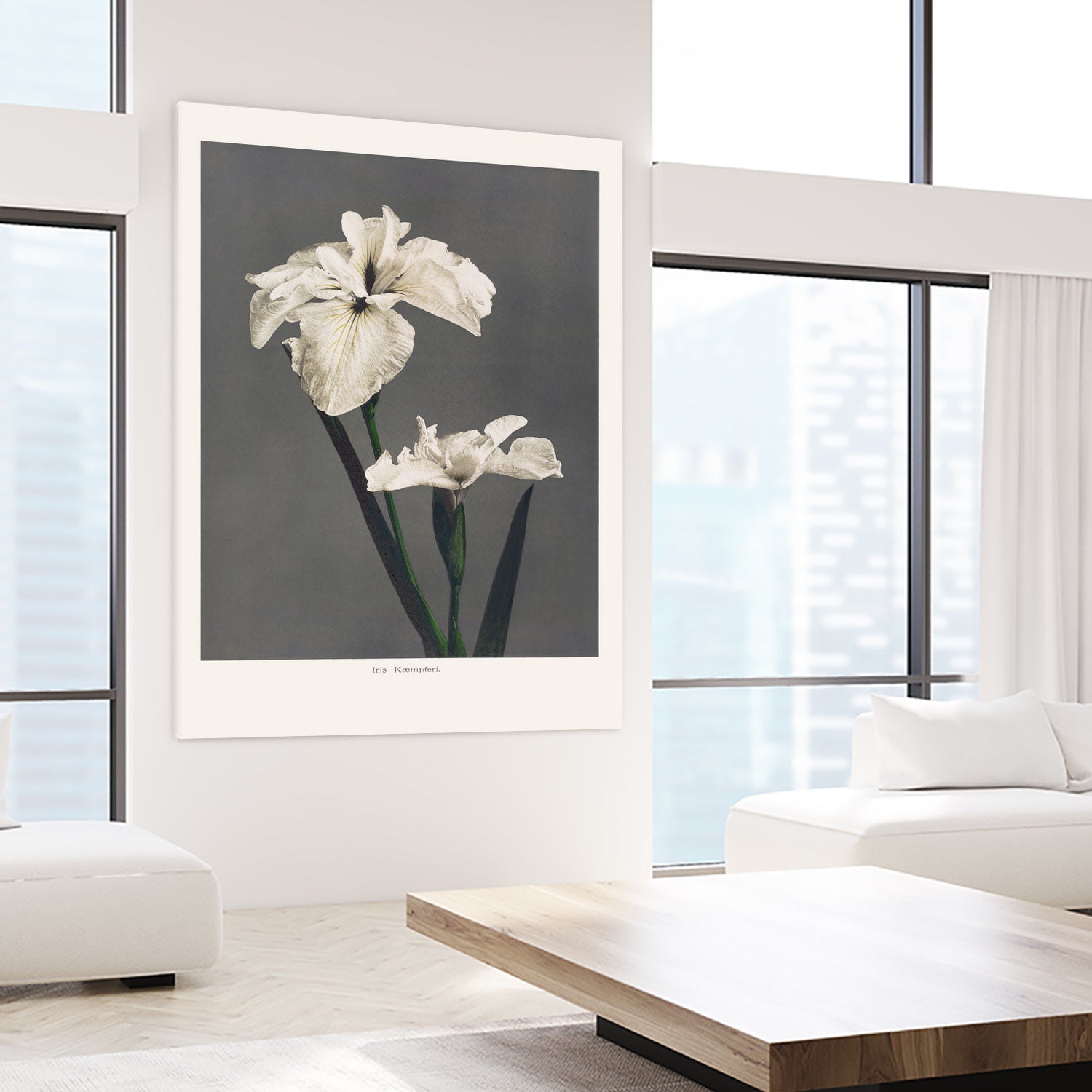 Iris KAbmpferi by Pictufy on GIANT ART -