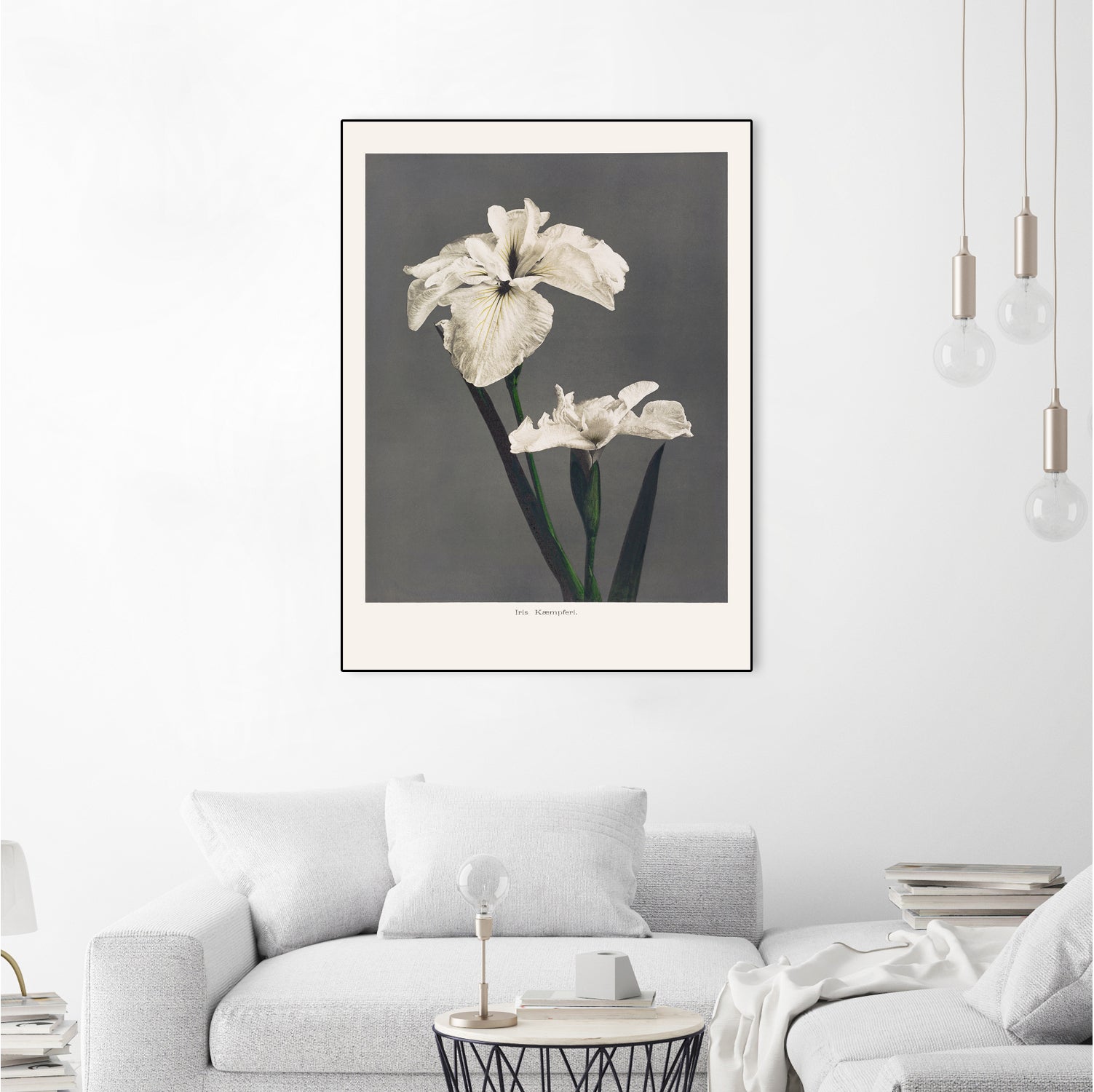 Iris KAbmpferi by Pictufy on GIANT ART -