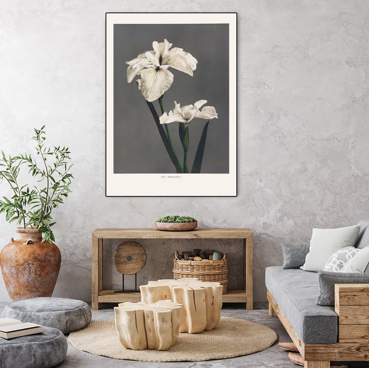 Iris KAbmpferi by Pictufy on GIANT ART -