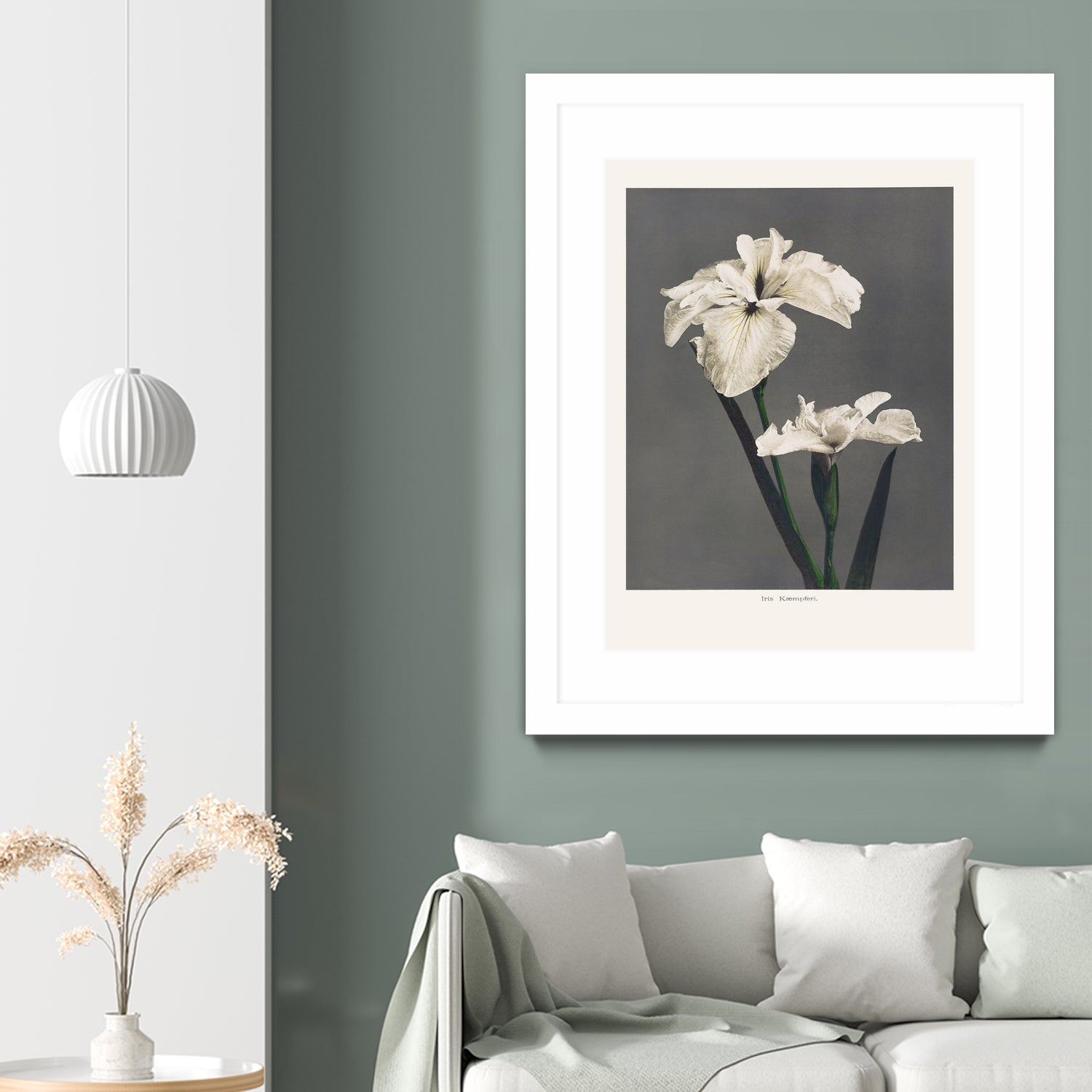 Iris KAbmpferi by Pictufy on GIANT ART -