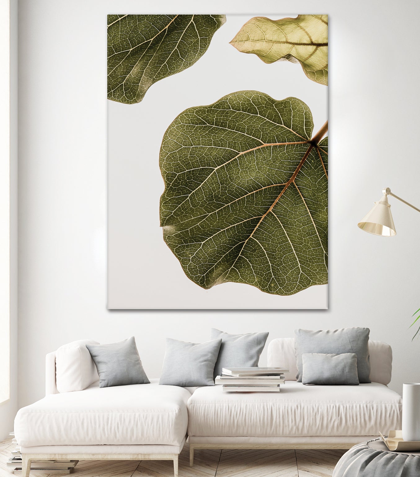 Abutifolia No2 by Shot on GIANT ART - photography still life