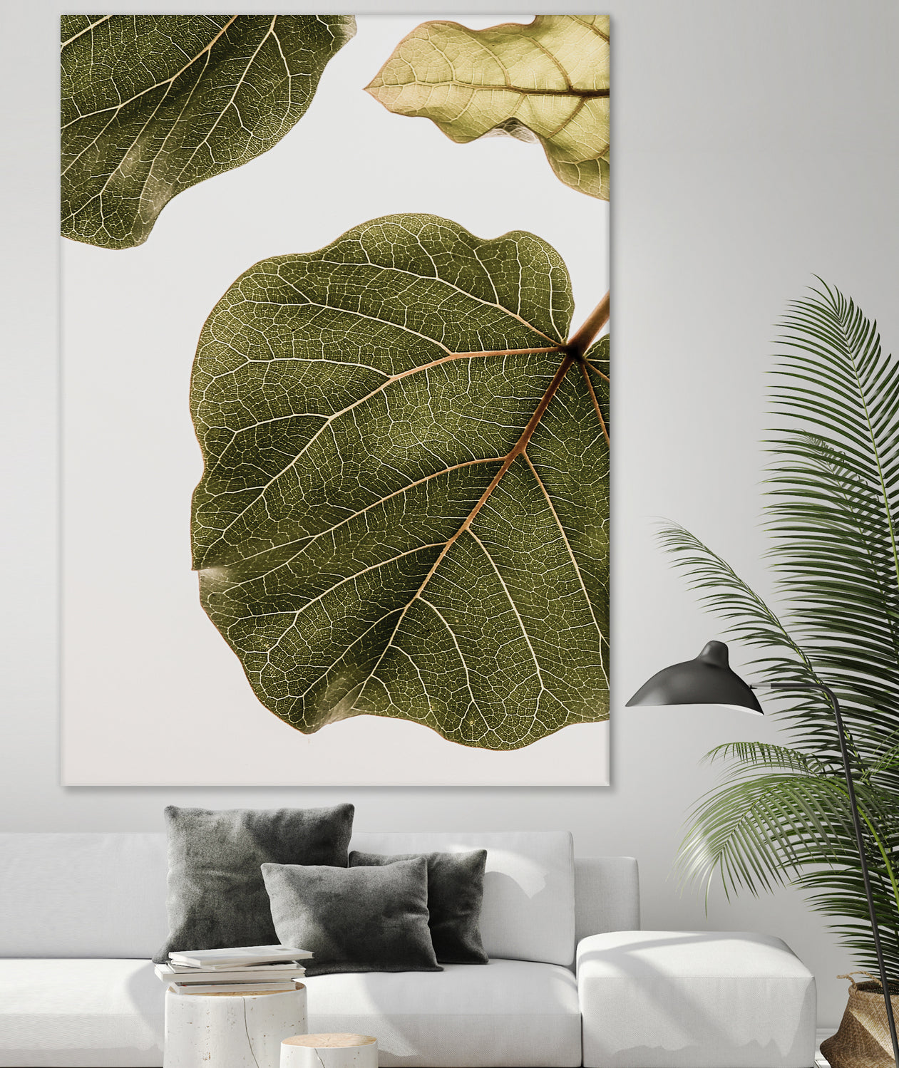 Abutifolia No2 by Shot on GIANT ART - photography still life