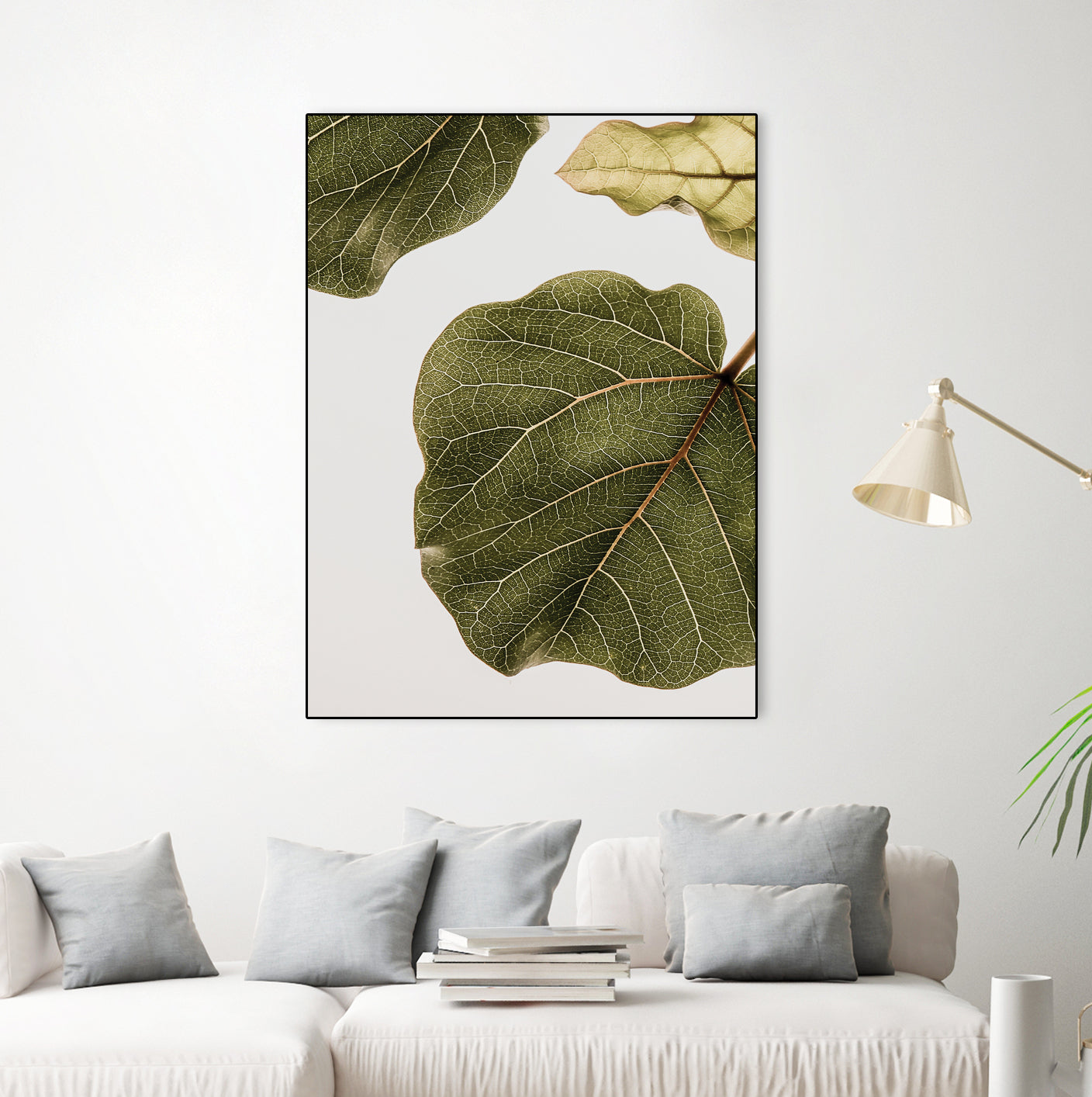 Abutifolia No2 by Shot on GIANT ART - photography still life