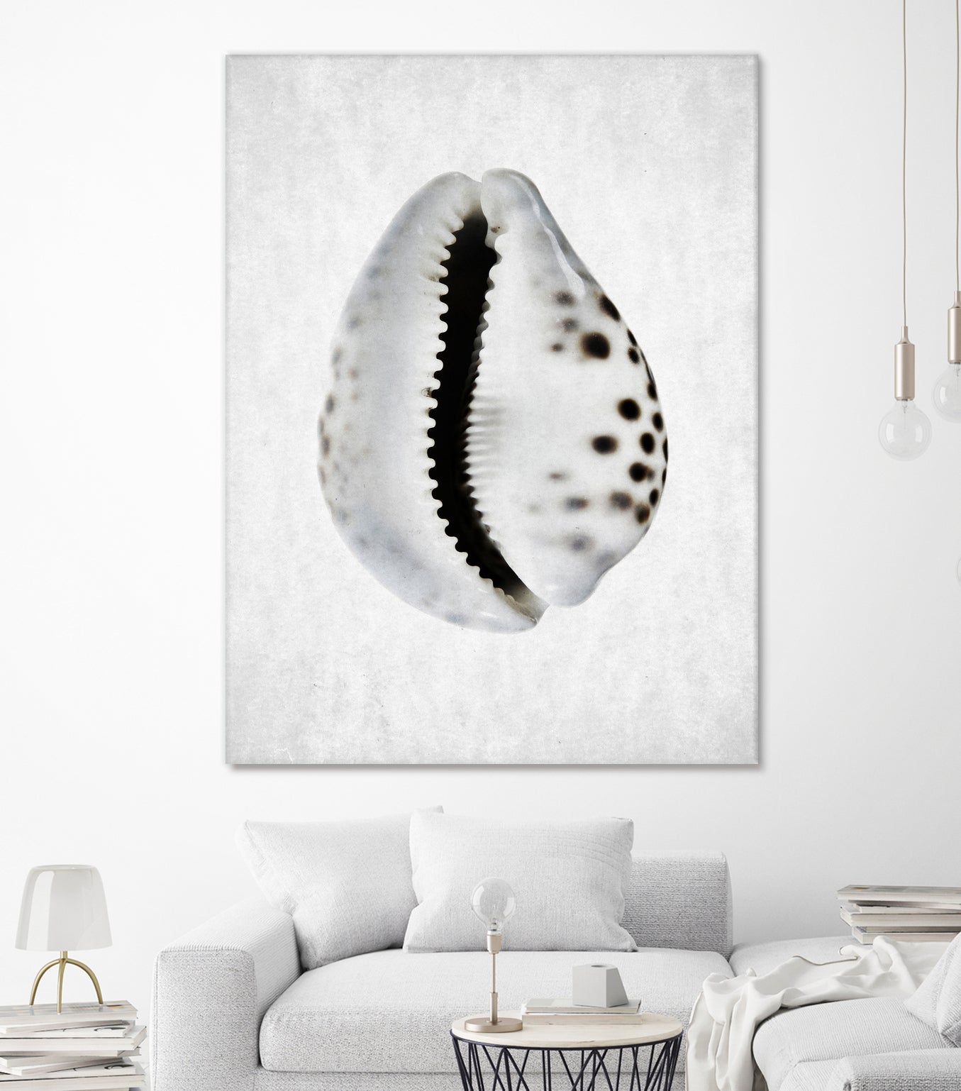 Spring Tide by Shot by Clint on GIANT ART - macro seashell art