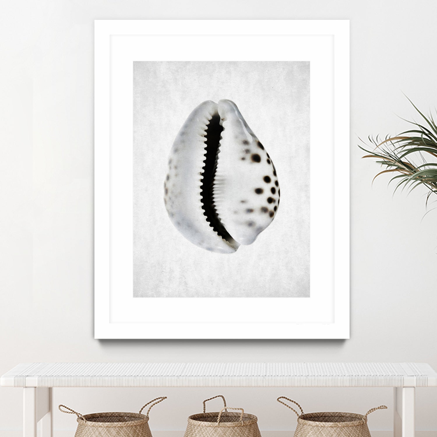 Spring Tide by Shot by Clint on GIANT ART - macro seashell art